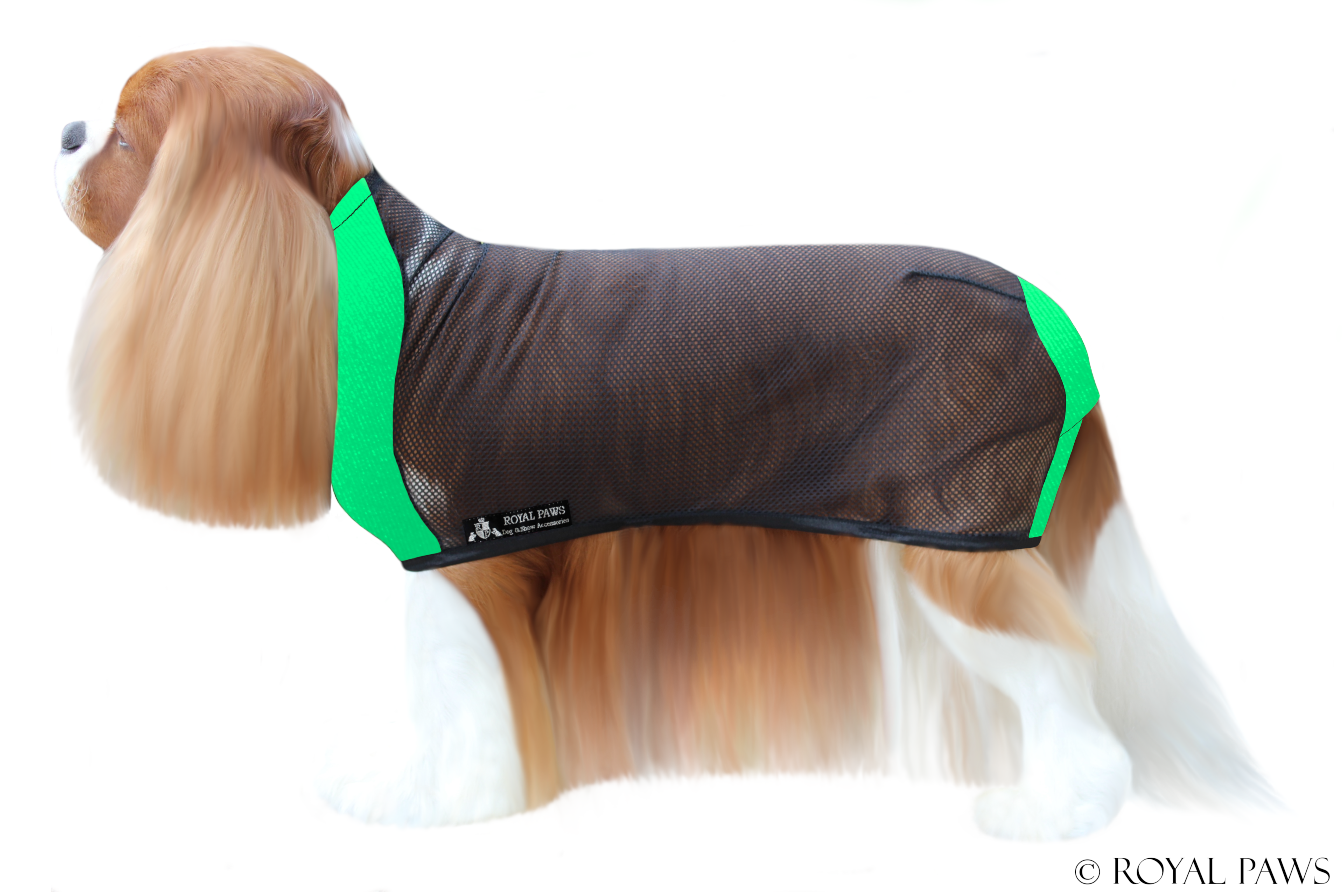BASIC DRY COAT MESH "GREEN"