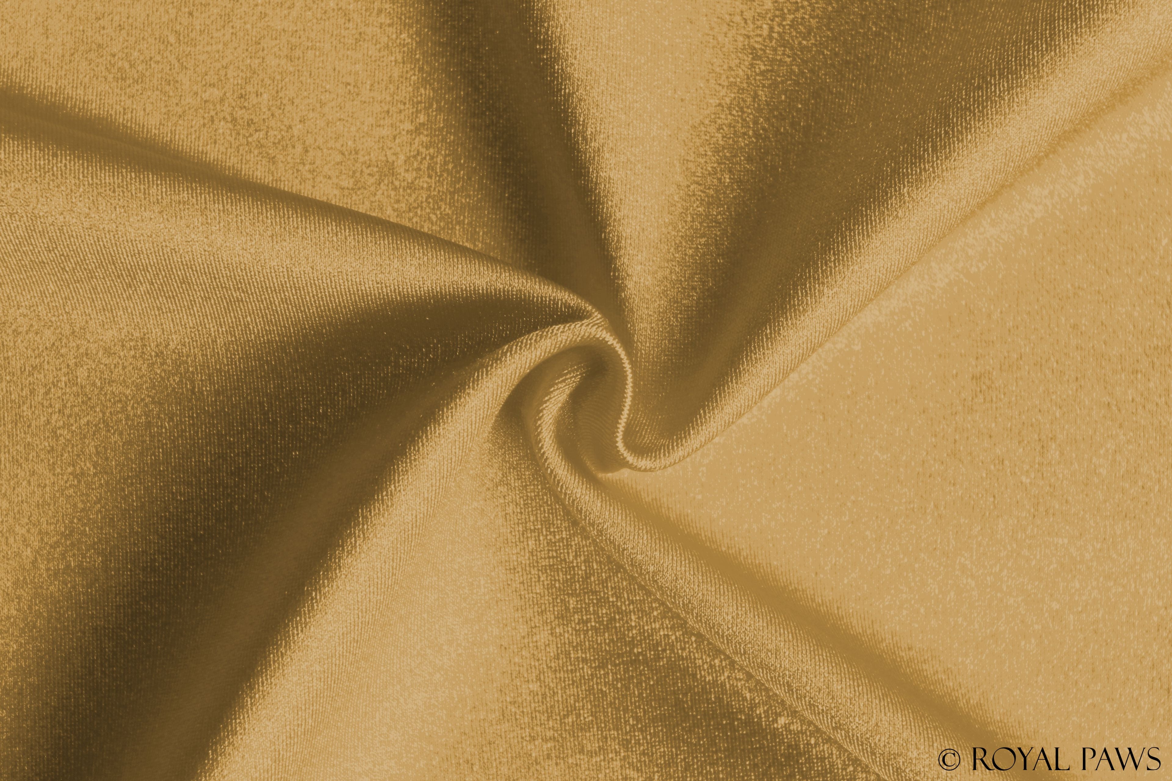 BASIC DRY COAT MESH "GOLD"