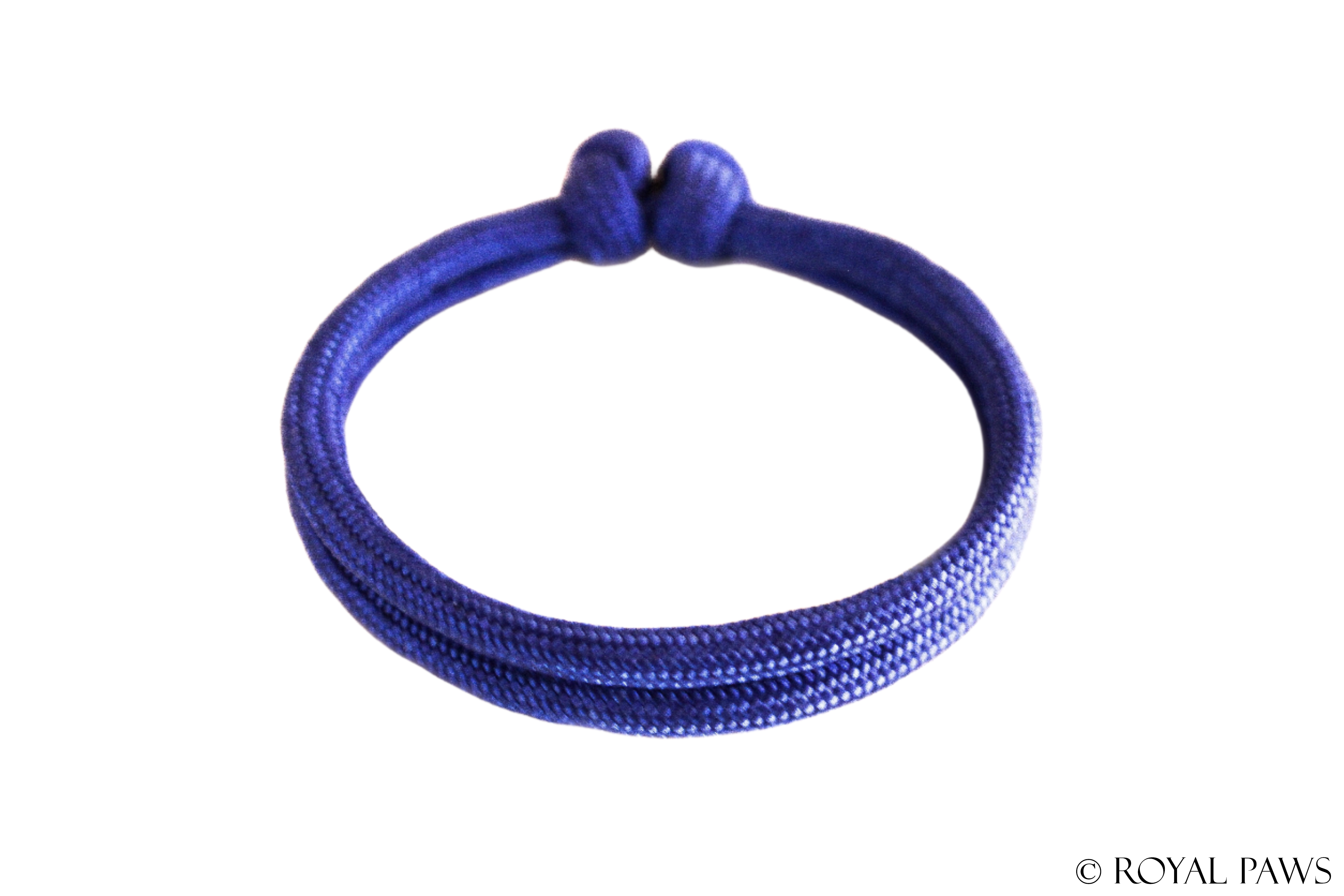 BASIC PUPPY BAND "BLAU" - ROYAL PAWS Dog & Show Accessories