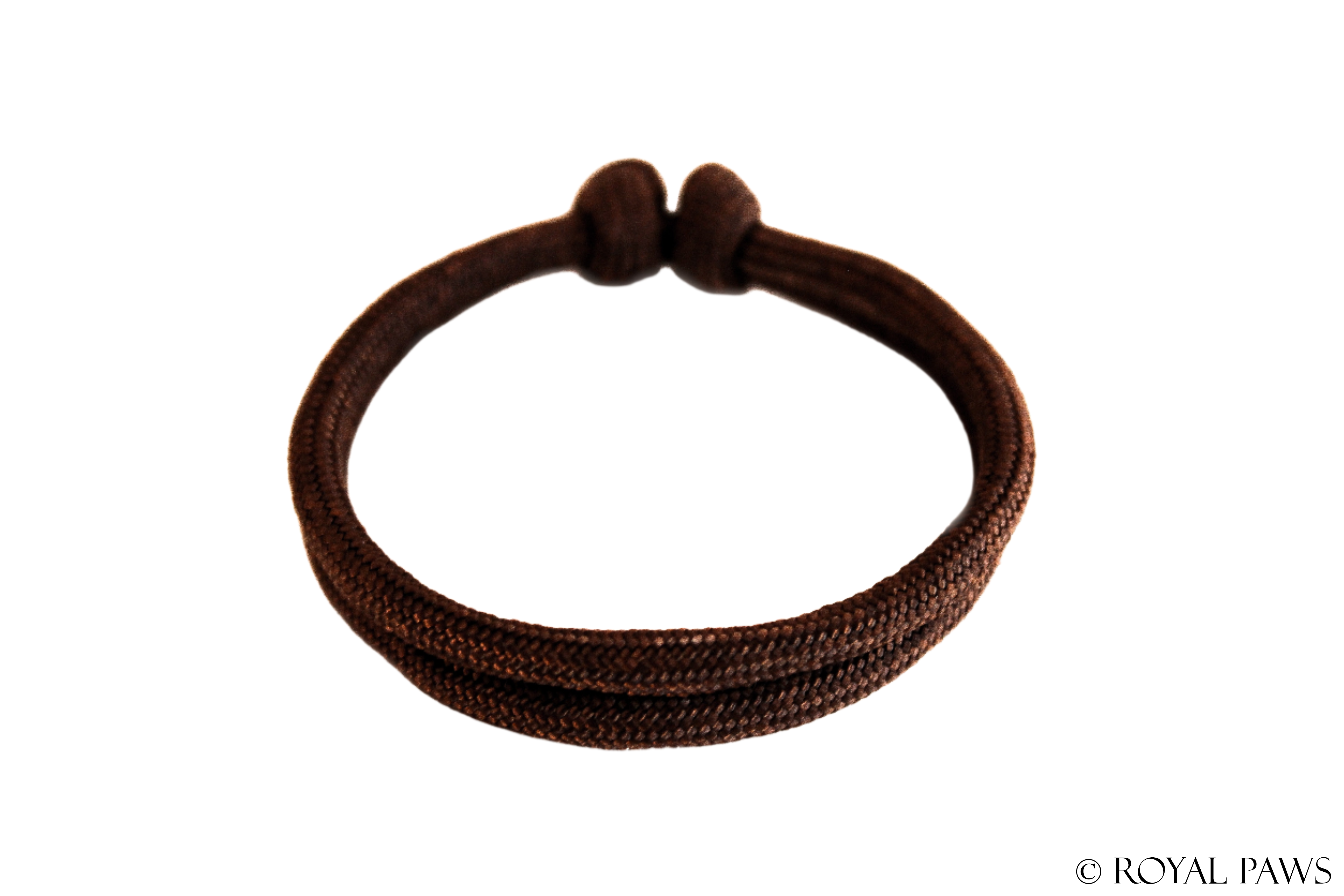 BASIC PUPPY BAND "BRAUN" - ROYAL PAWS Dog & Show Accessories