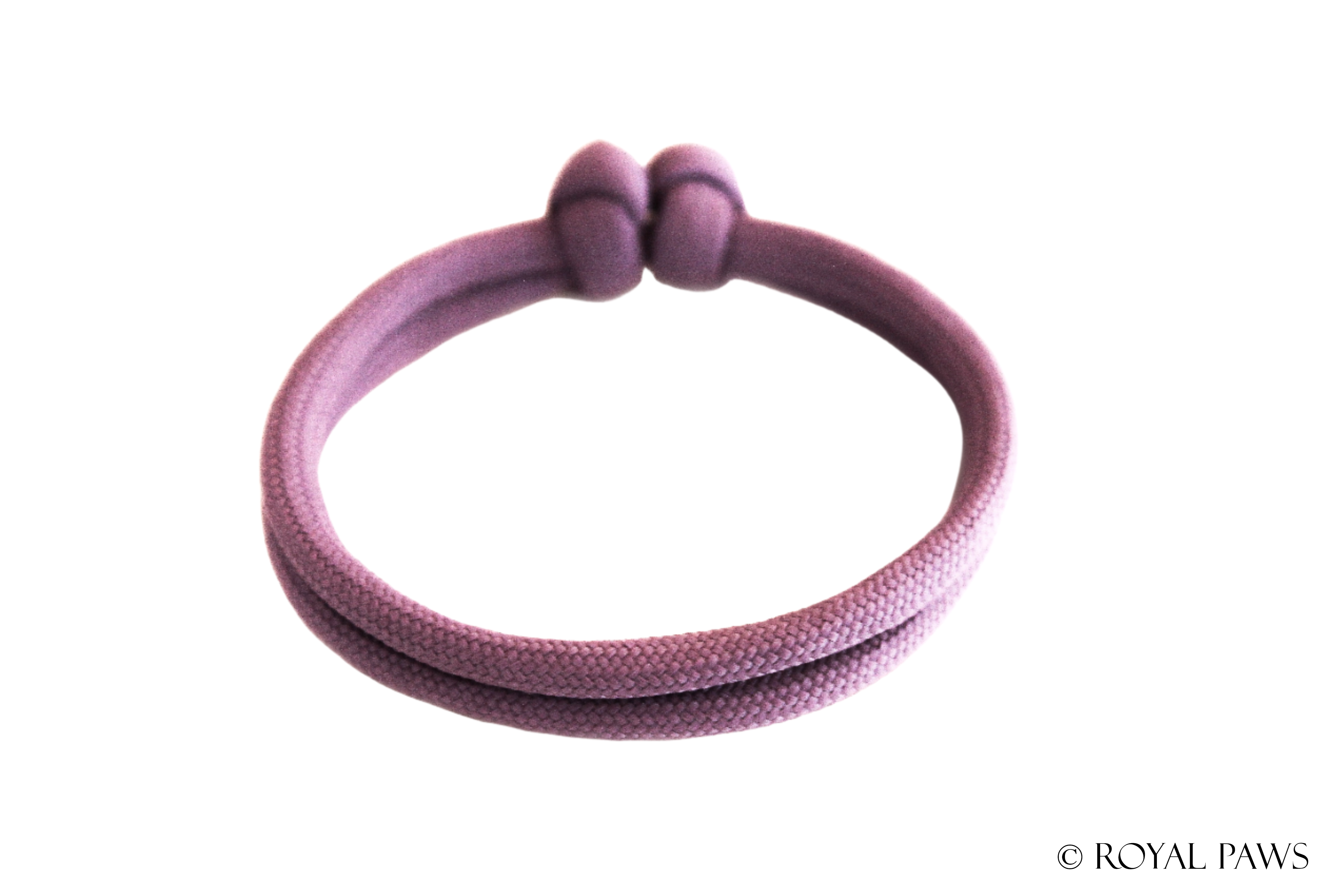 BASIC PUPPY BAND "FLIEDER" - ROYAL PAWS Dog & Show Accessories