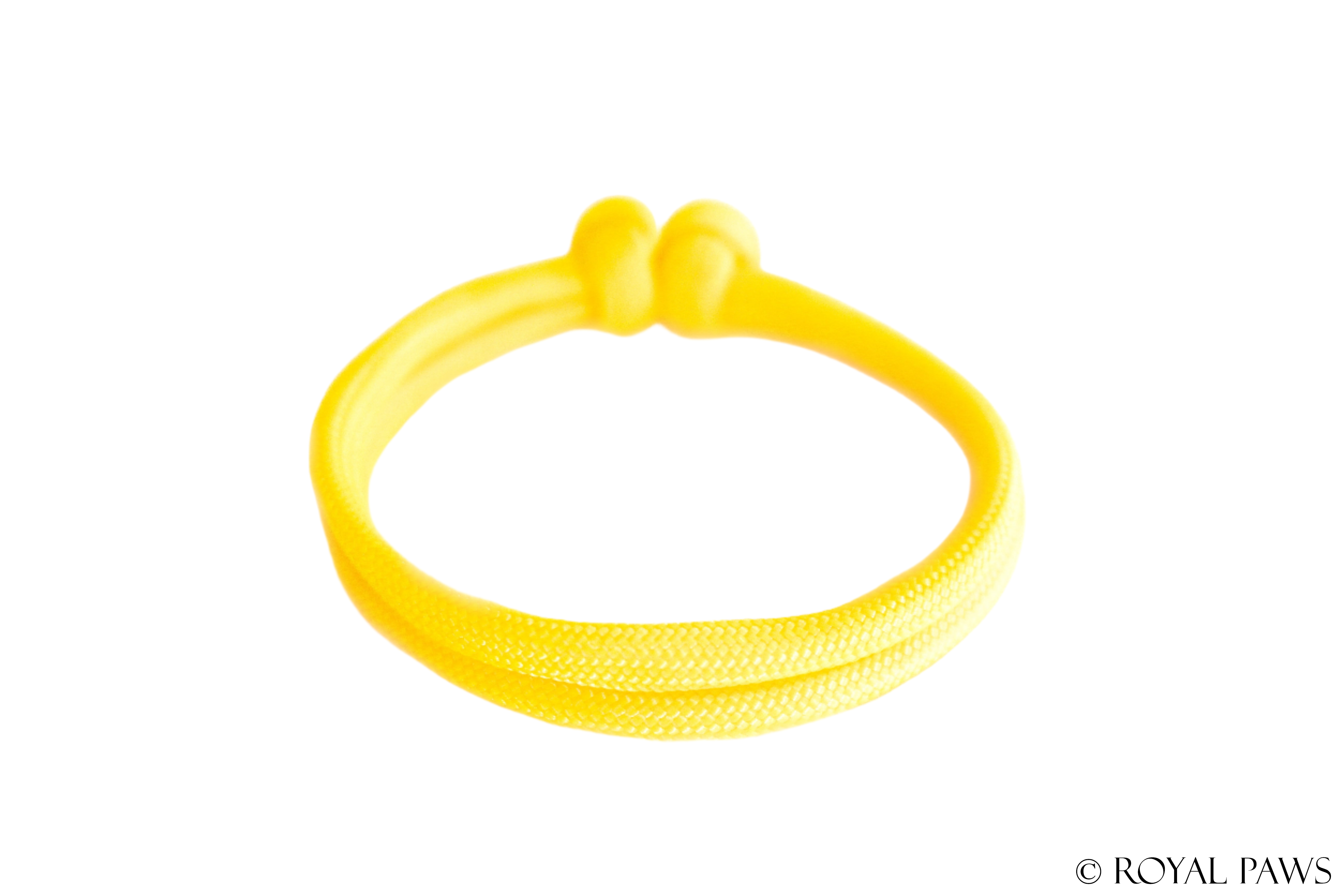 BASIC PUPPY BAND "GELB" - ROYAL PAWS Dog & Show Accessories