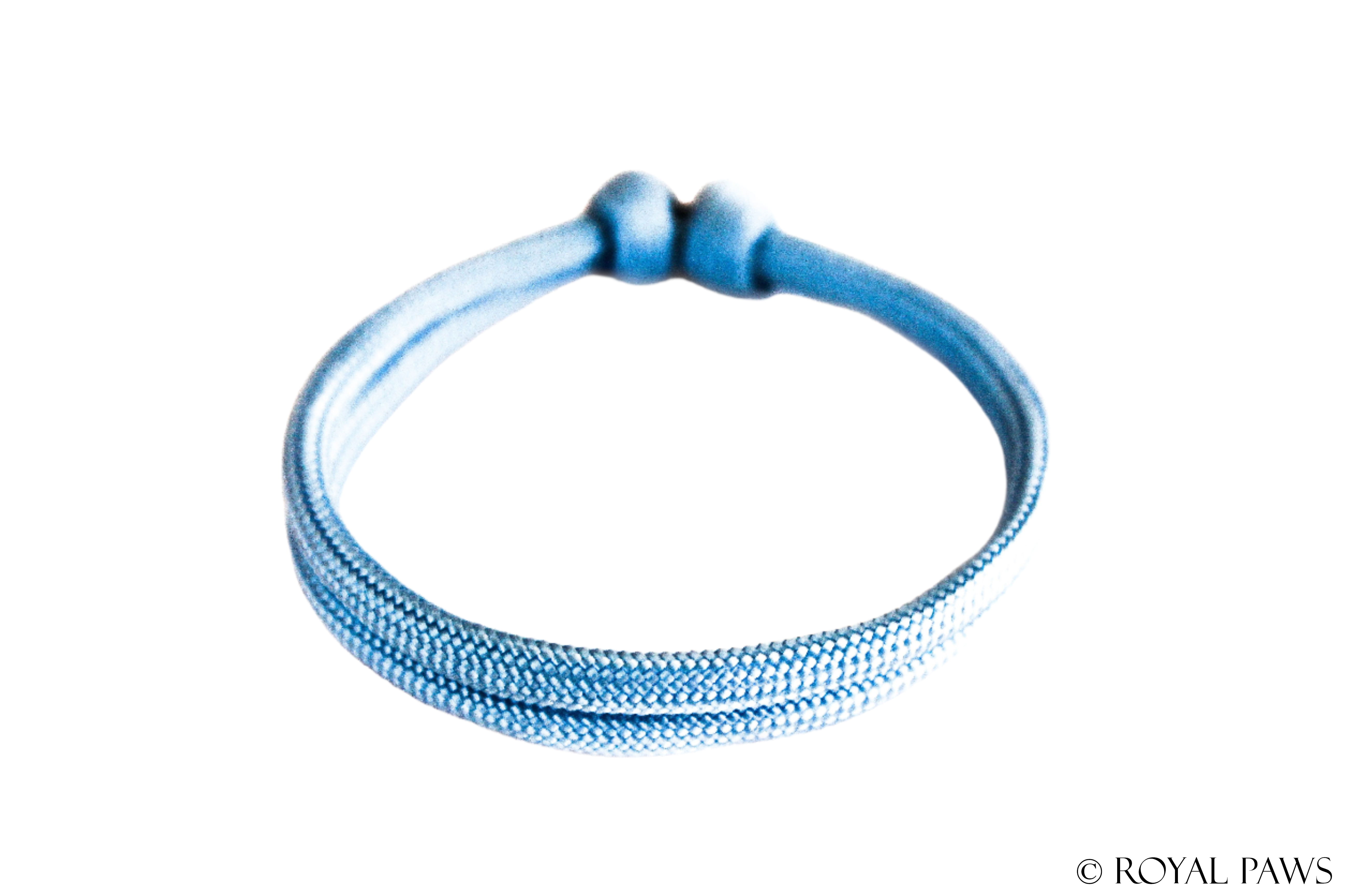 BASIC PUPPY BAND "HELLBLAU" - ROYAL PAWS Dog & Show Accessories