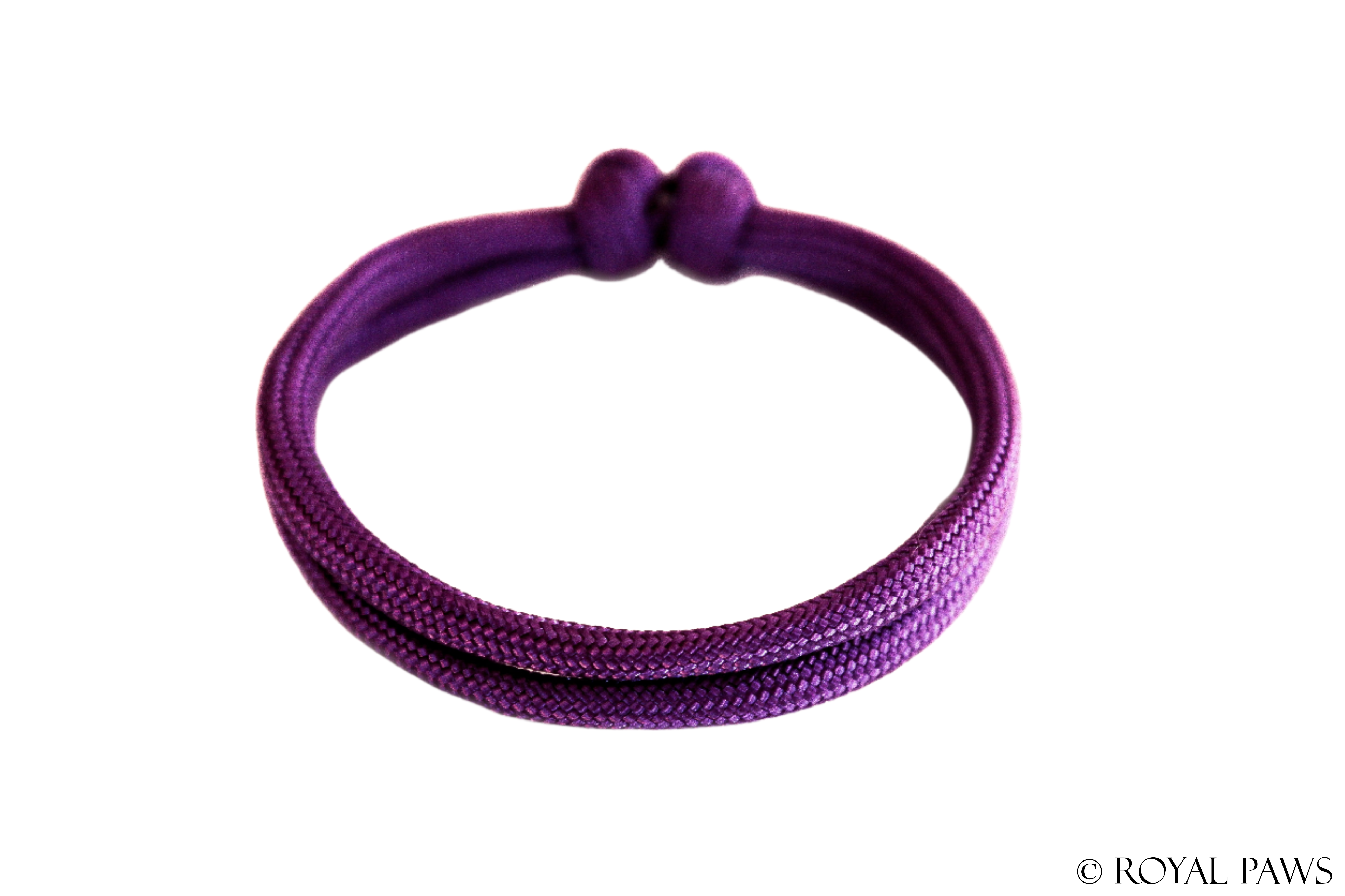 BASIC PUPPY BAND "LILA" - ROYAL PAWS Dog & Show Accessories