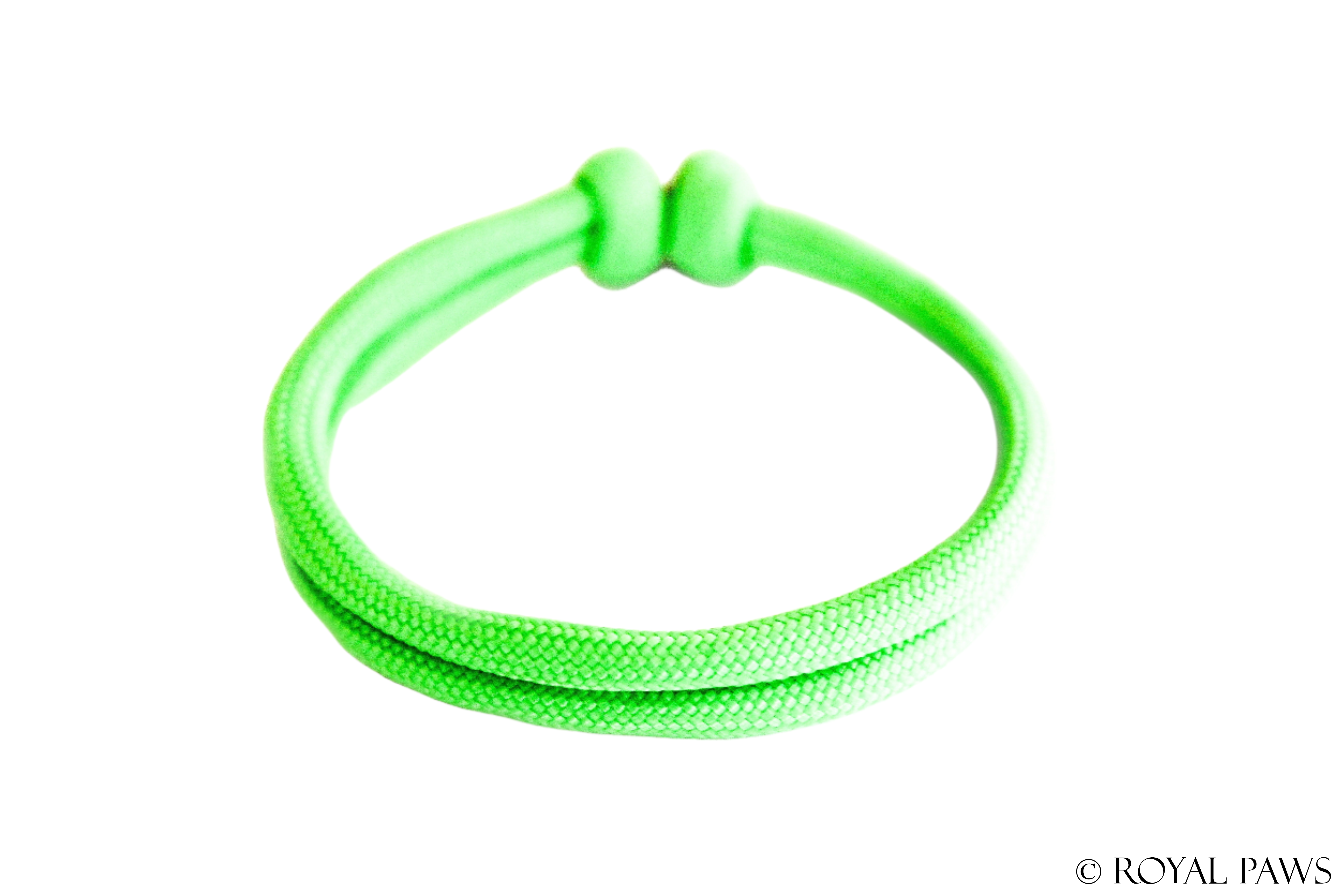 BASIC PUPPY BAND "NEONGRÜN" - ROYAL PAWS Dog & Show Accessories
