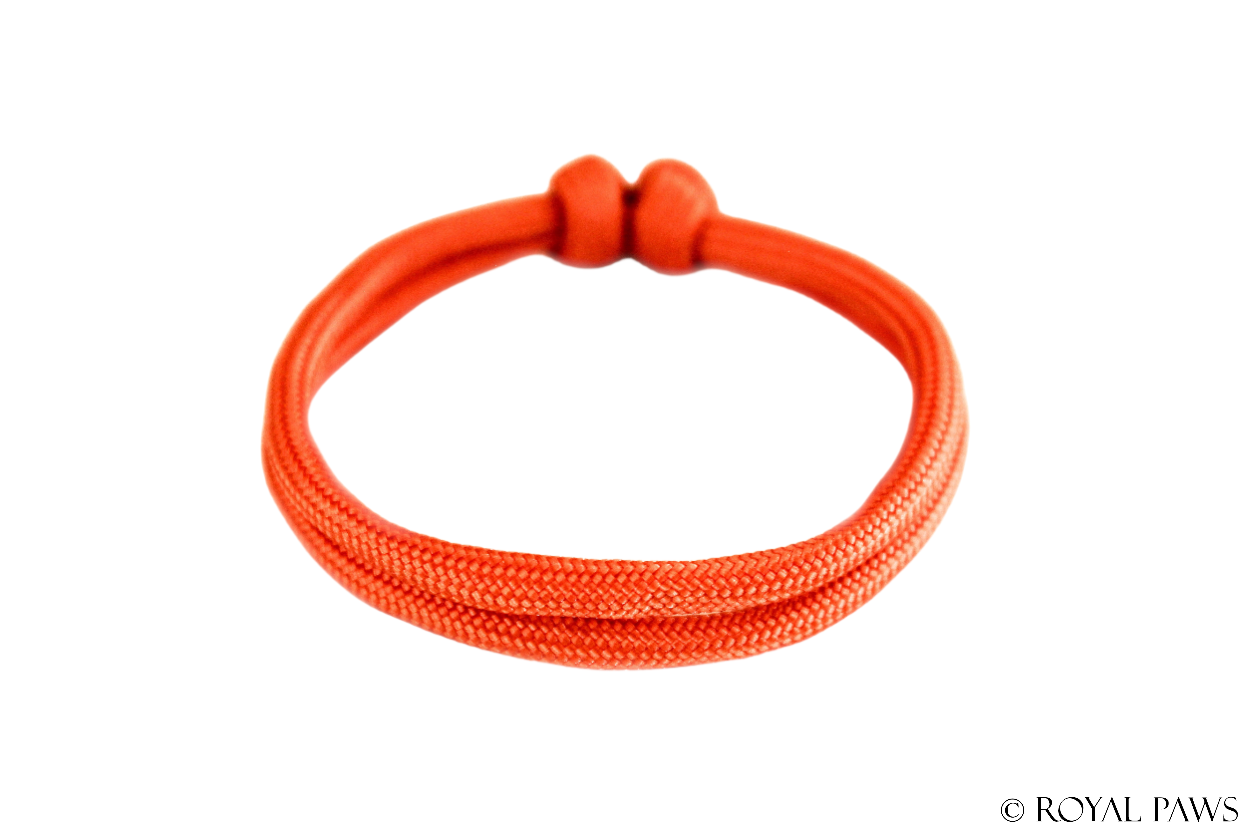 BASIC PUPPY BAND "ORANGE" - ROYAL PAWS Dog & Show Accessories
