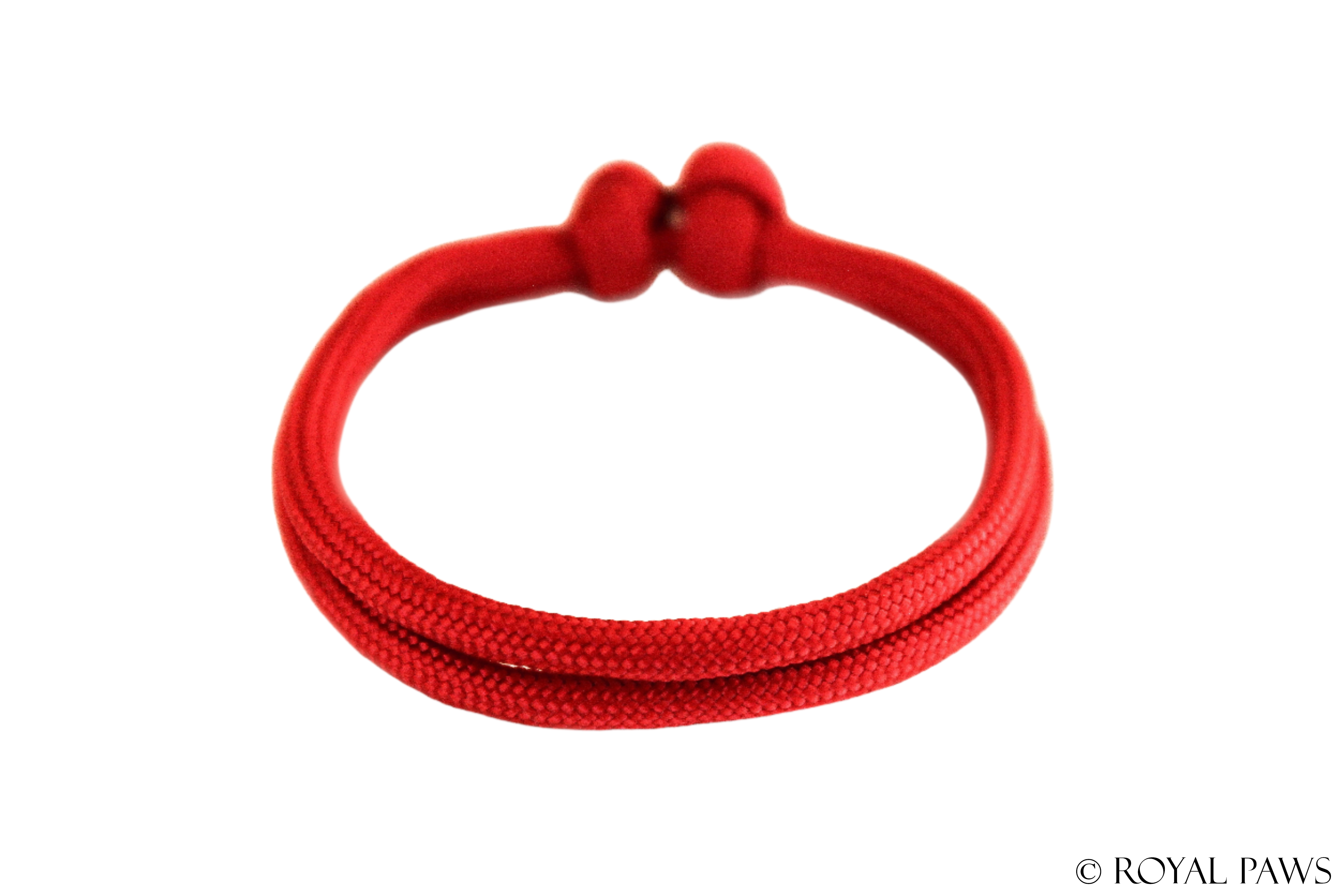 BASIC PUPPY BAND "ROT" - ROYAL PAWS Dog & Show Accessories