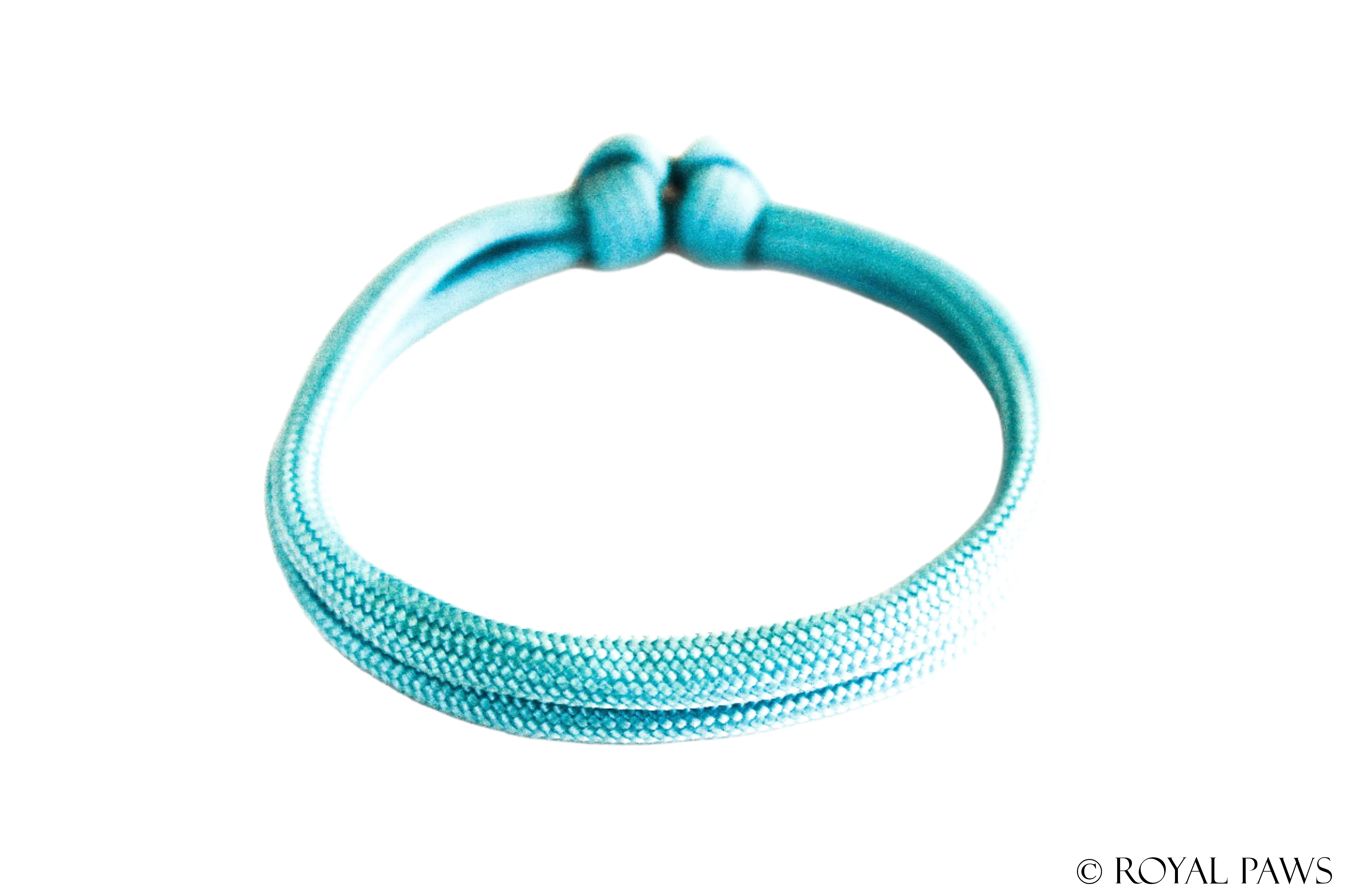 BASIC PUPPY BAND "TÜRKIS" - ROYAL PAWS Dog & Show Accessories