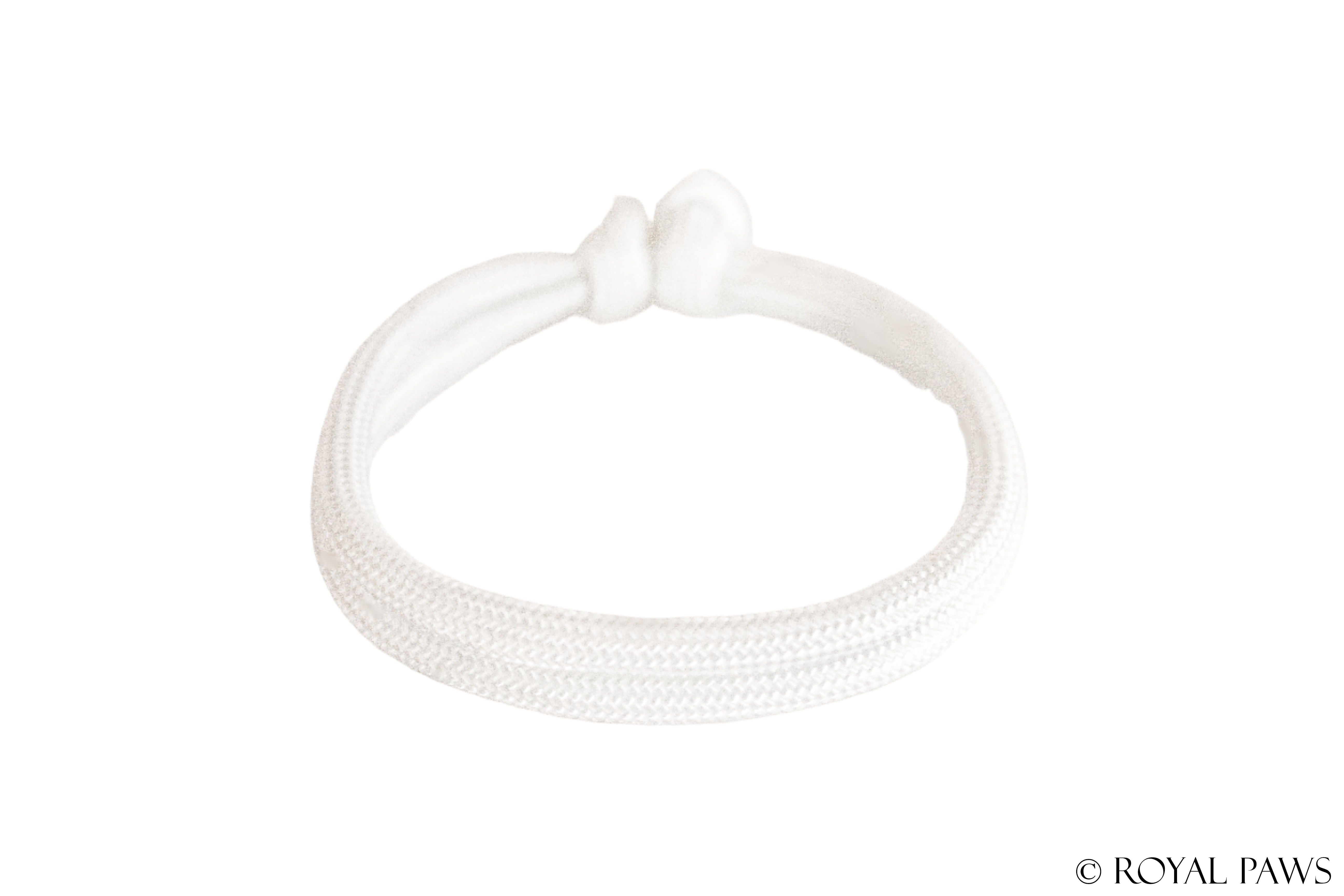 BASIC PUPPY BAND "WEIß" - ROYAL PAWS Dog & Show Accessories