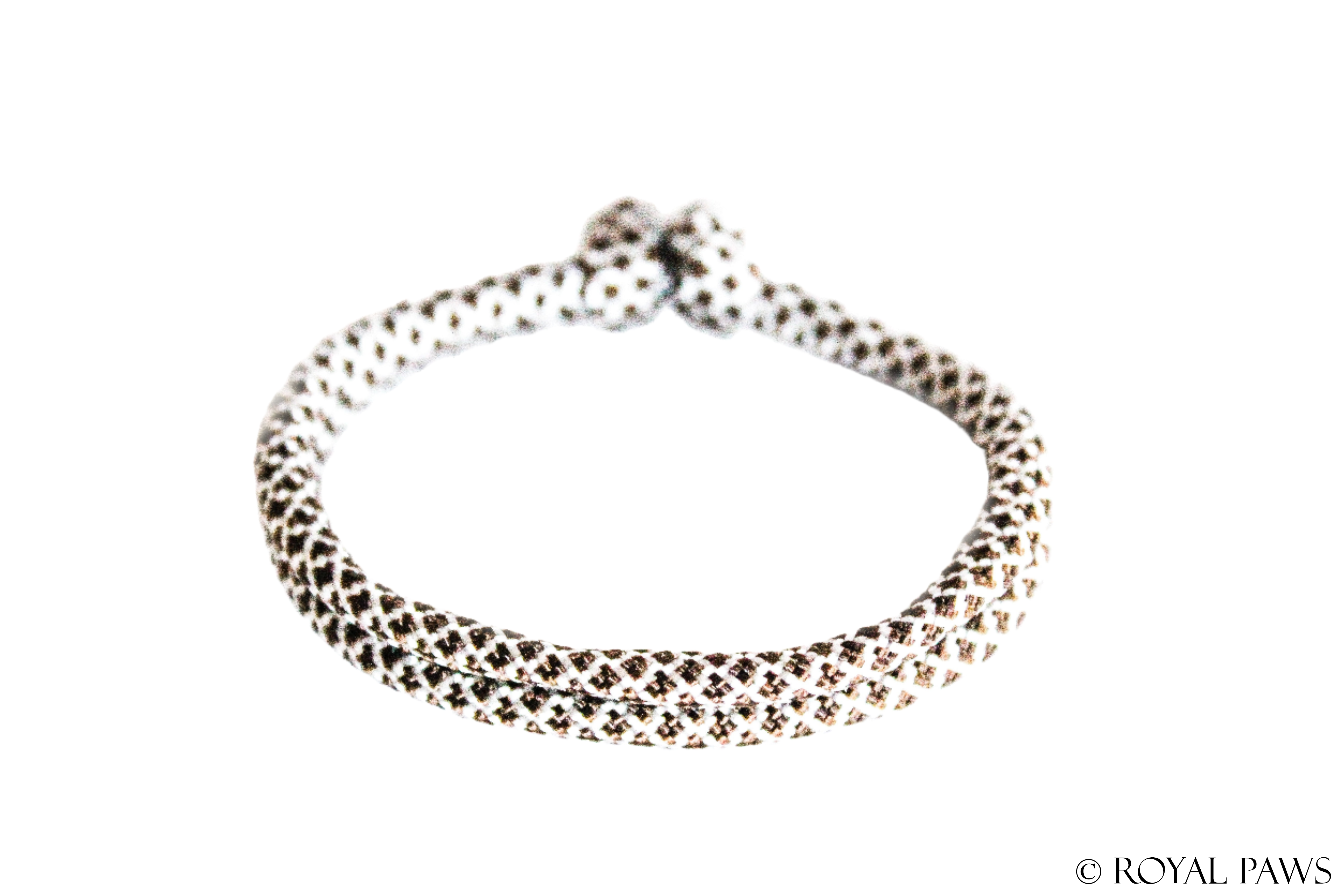 DIAMOND PUPPY BAND "CREME/BRAUN" - ROYAL PAWS Dog & Show Accessories