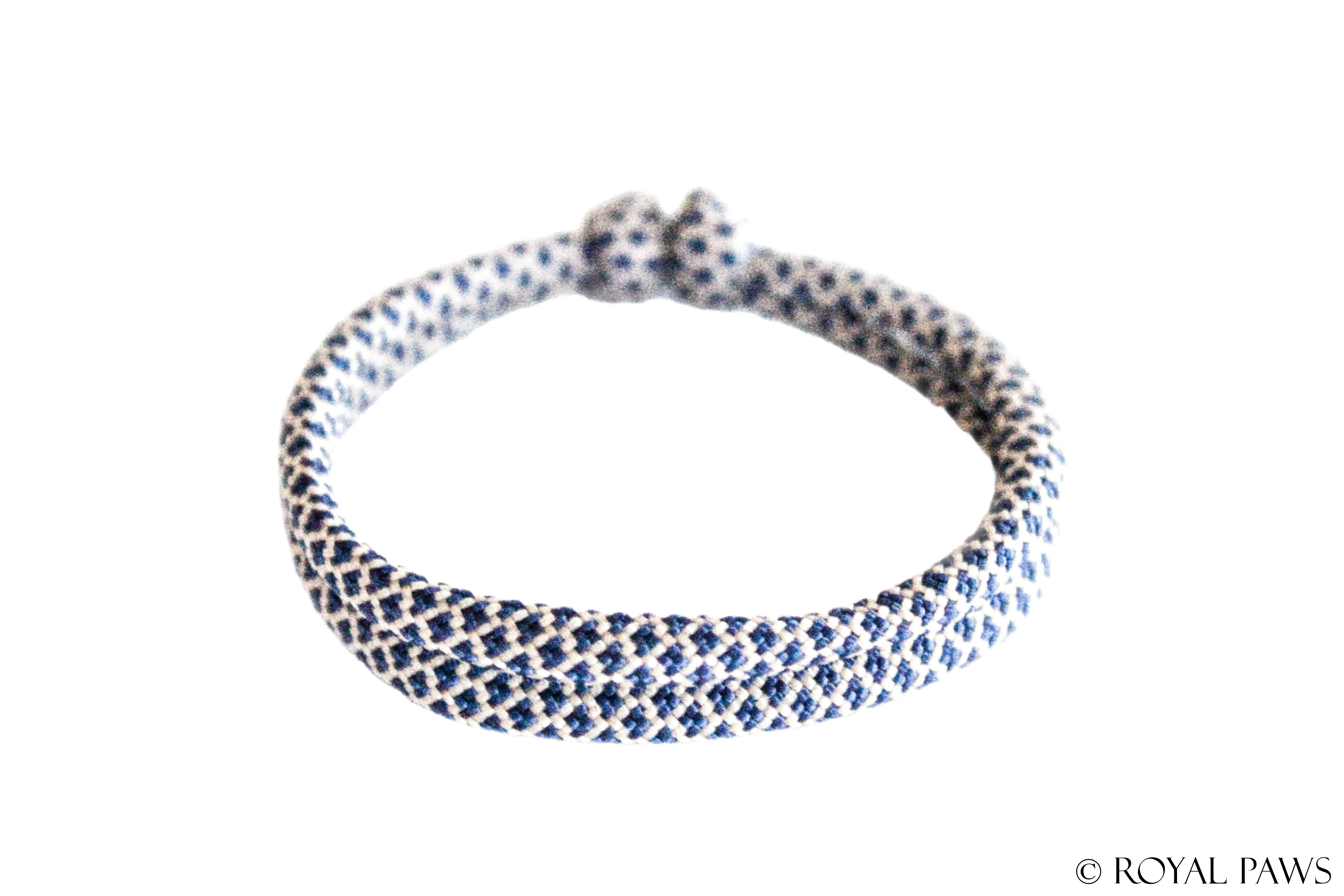 DIAMOND PUPPY BAND "CREME/DUNKELBLAU" - ROYAL PAWS Dog & Show Accessories