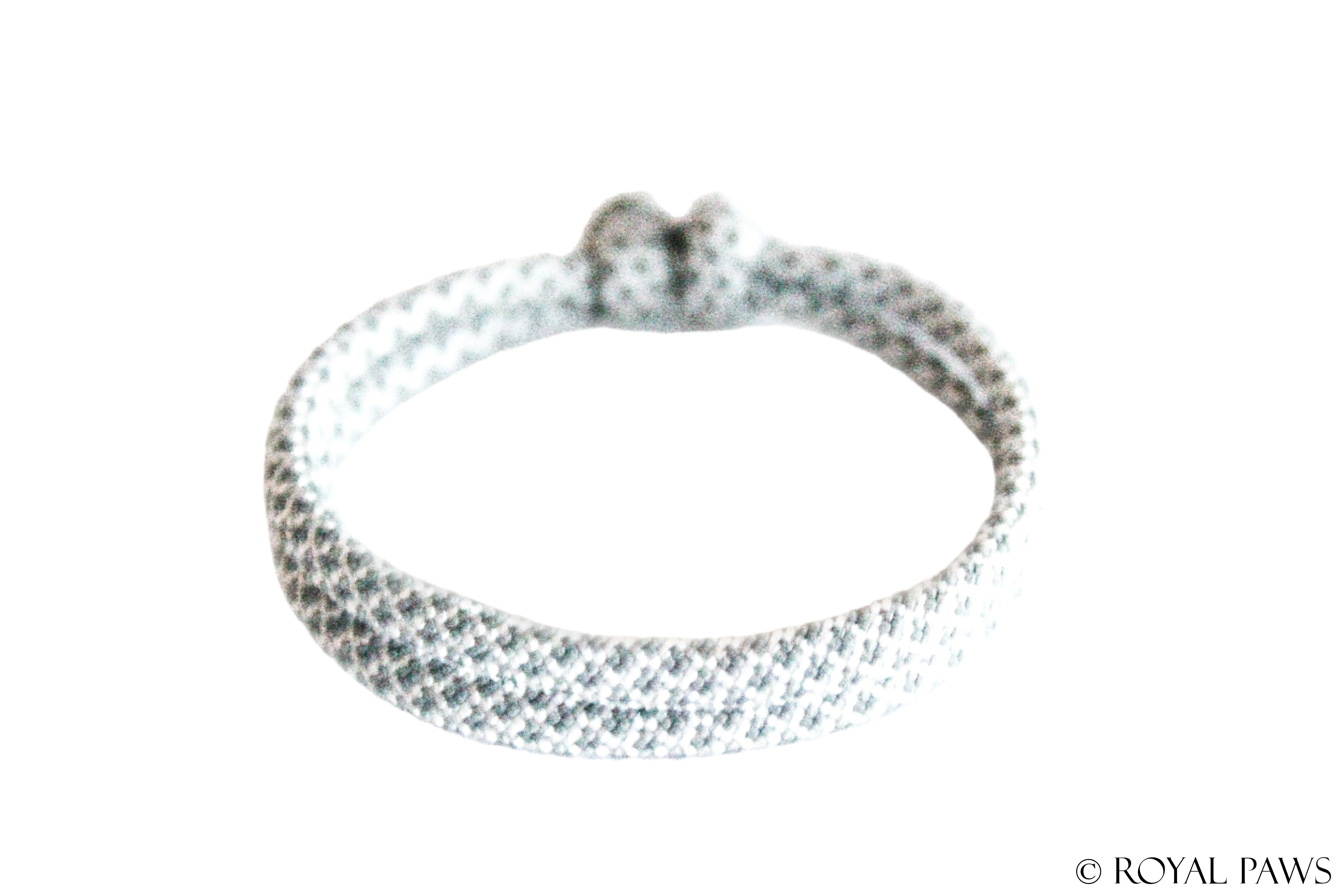 DIAMOND PUPPY BAND "CREME/GRAU" - ROYAL PAWS Dog & Show Accessories
