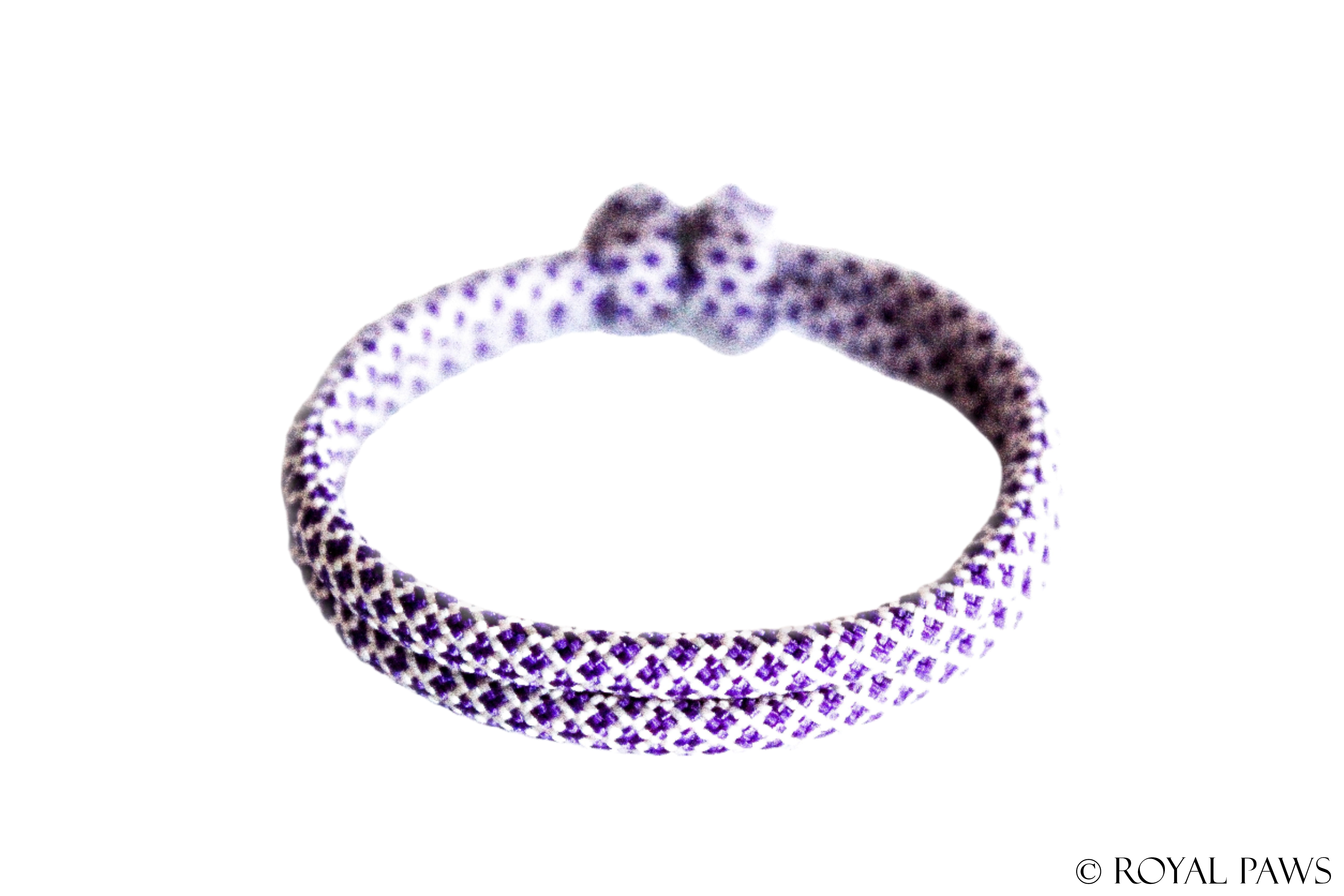 DIAMOND PUPPY BAND "CREME/LILA" - ROYAL PAWS Dog & Show Accessories