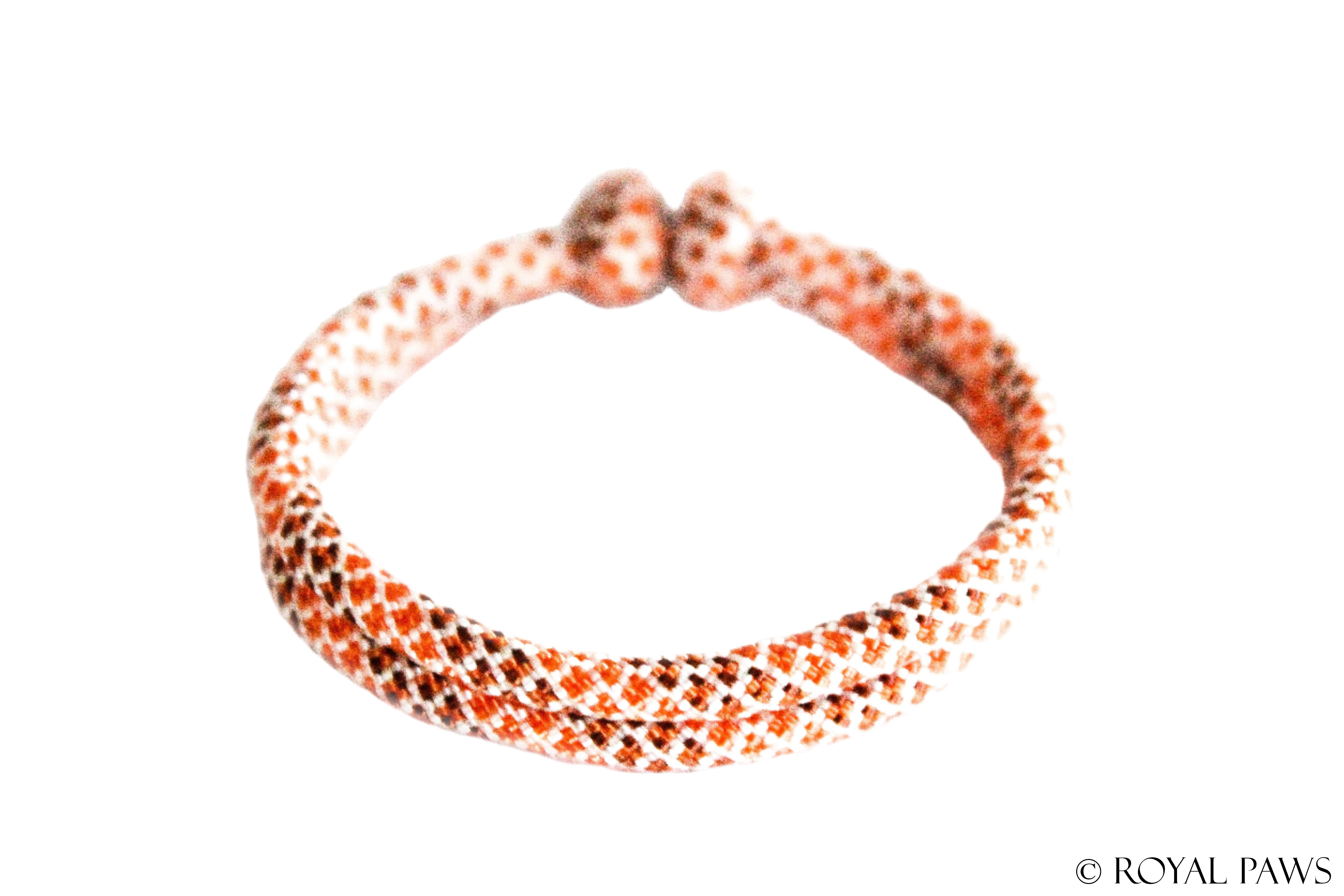DIAMOND PUPPY BAND "CREME/ORANGE/BRAUN" - ROYAL PAWS Dog & Show Accessories