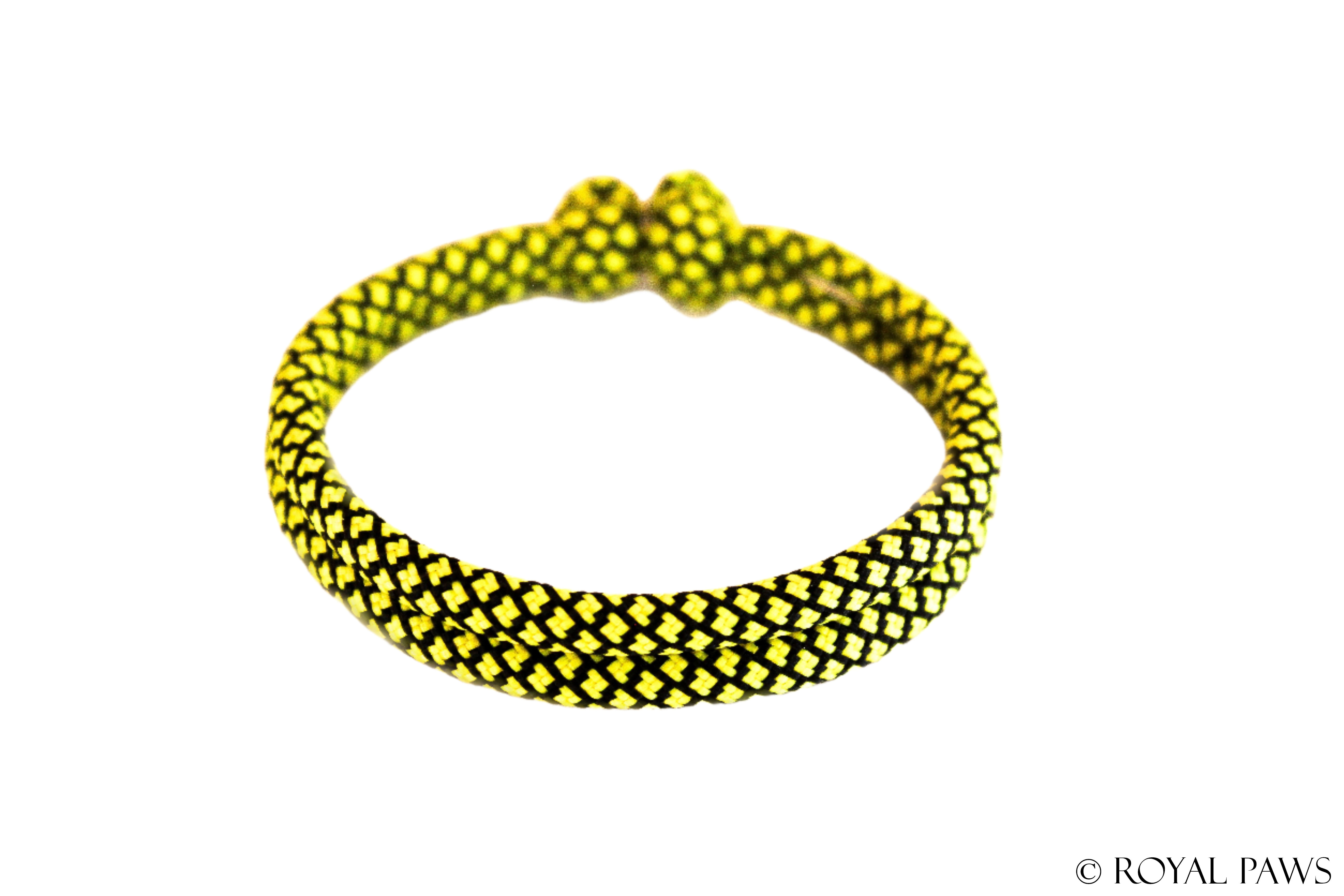 DIAMOND PUPPY BAND "SCHWARZ/GELB" - ROYAL PAWS Dog & Show Accessories