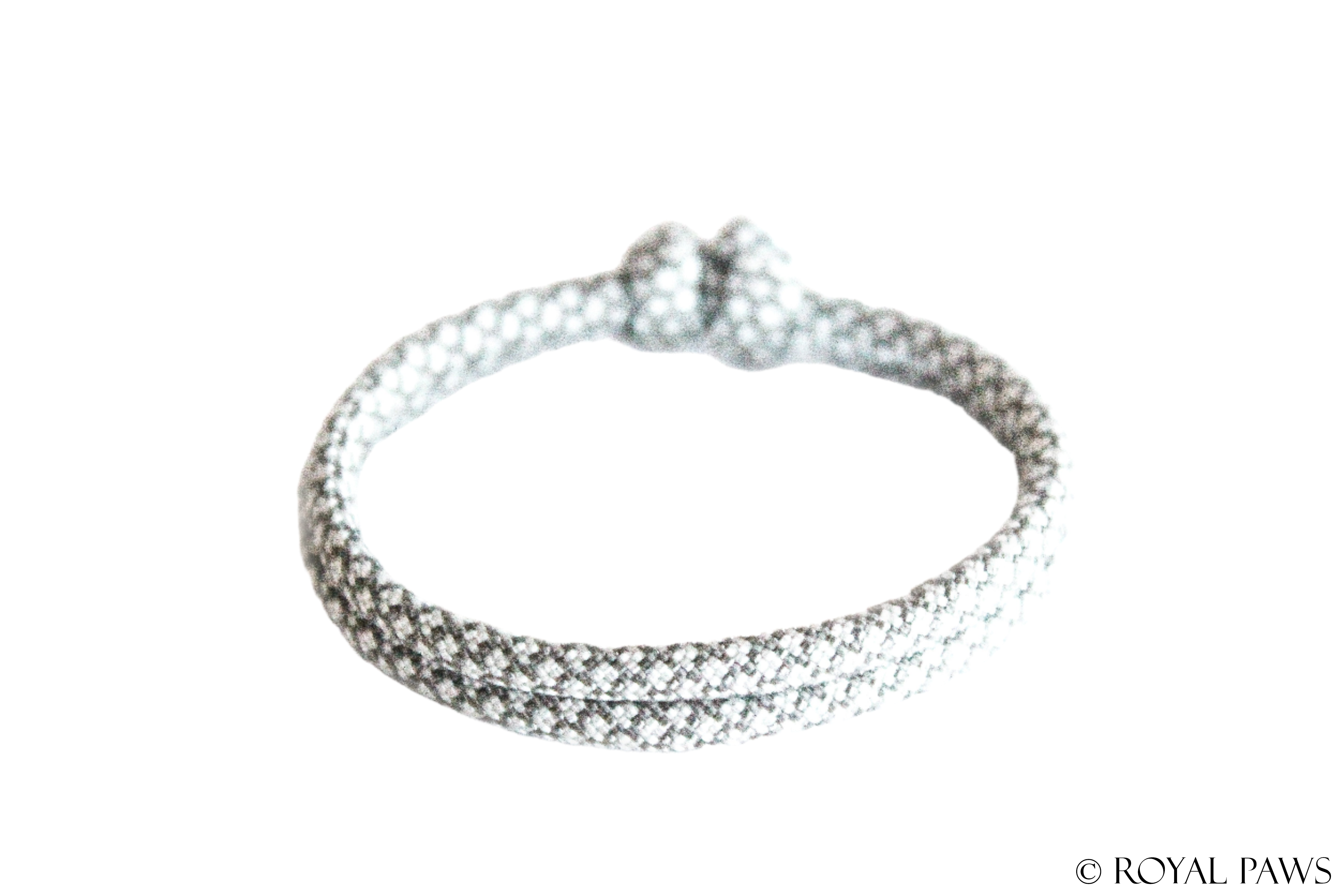 DIAMOND PUPPY BAND "GRAU/CREME" - ROYAL PAWS Dog & Show Accessories