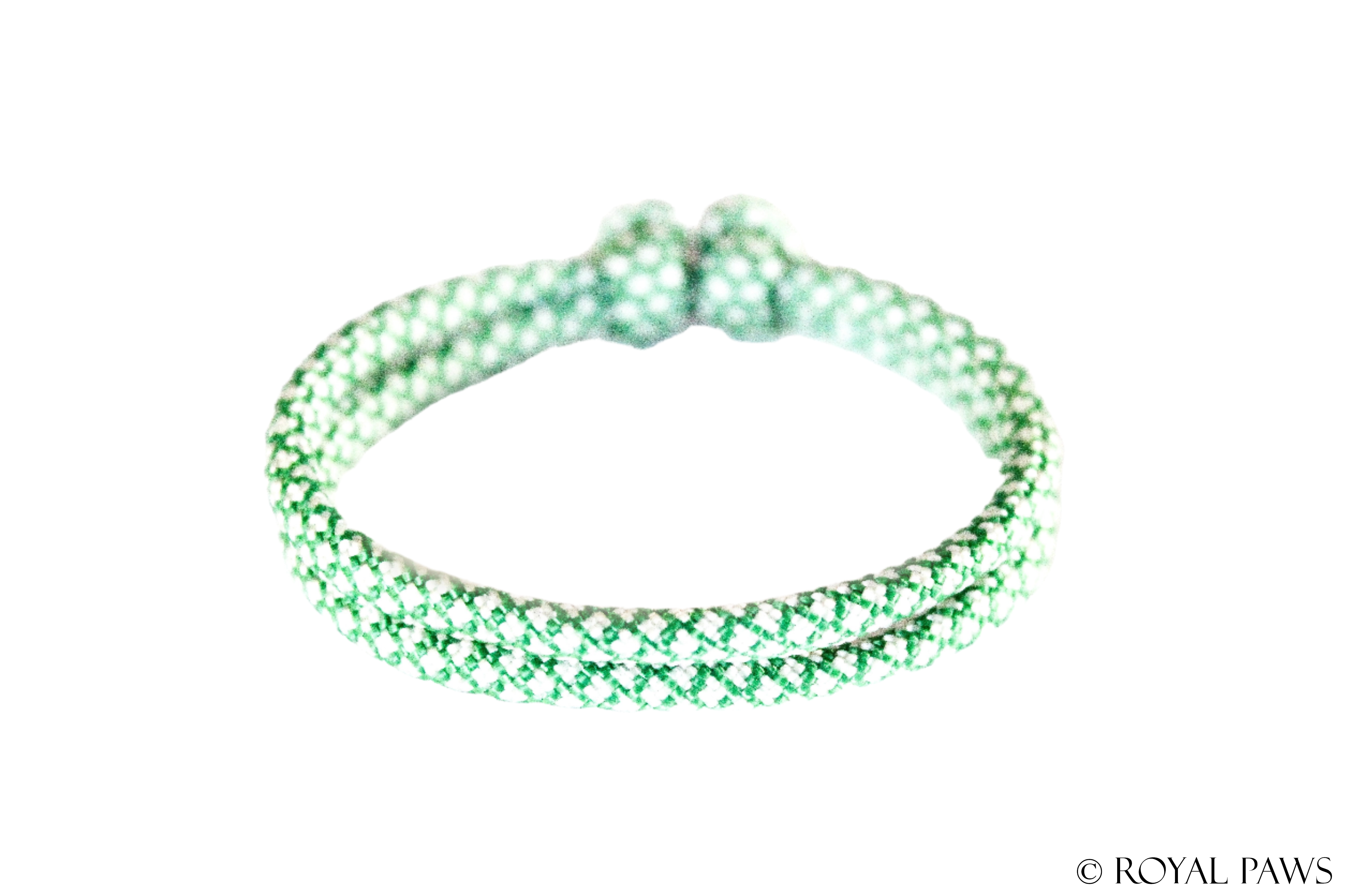 DIAMOND PUPPY BAND "GRÜN/CREME" - ROYAL PAWS Dog & Show Accessories