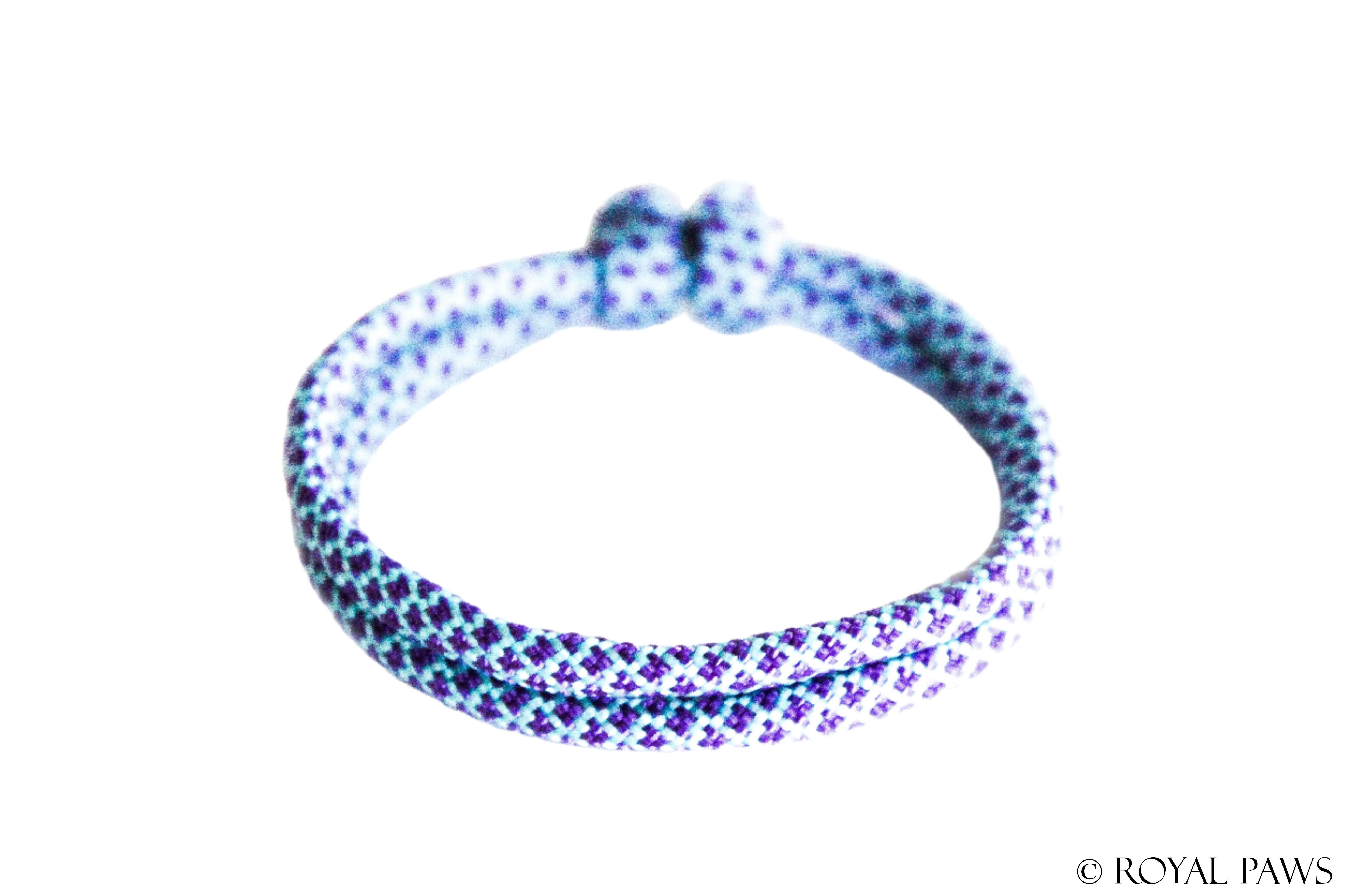 DIAMOND PUPPY BAND "HELLBLAU/LILA" - ROYAL PAWS Dog & Show Accessories