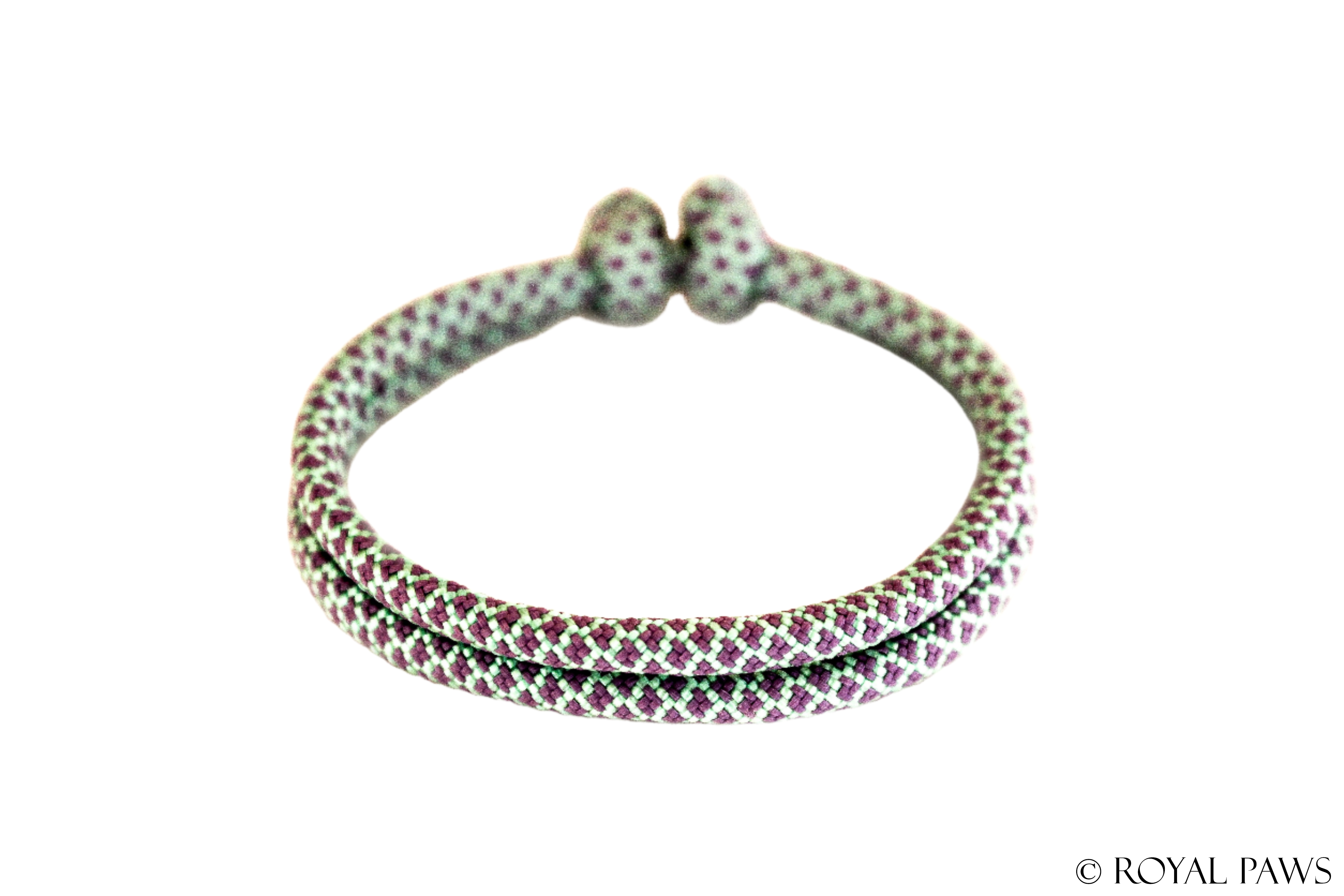 DIAMOND PUPPY BAND "MINT/FLIEDER" - ROYAL PAWS Dog & Show Accessories