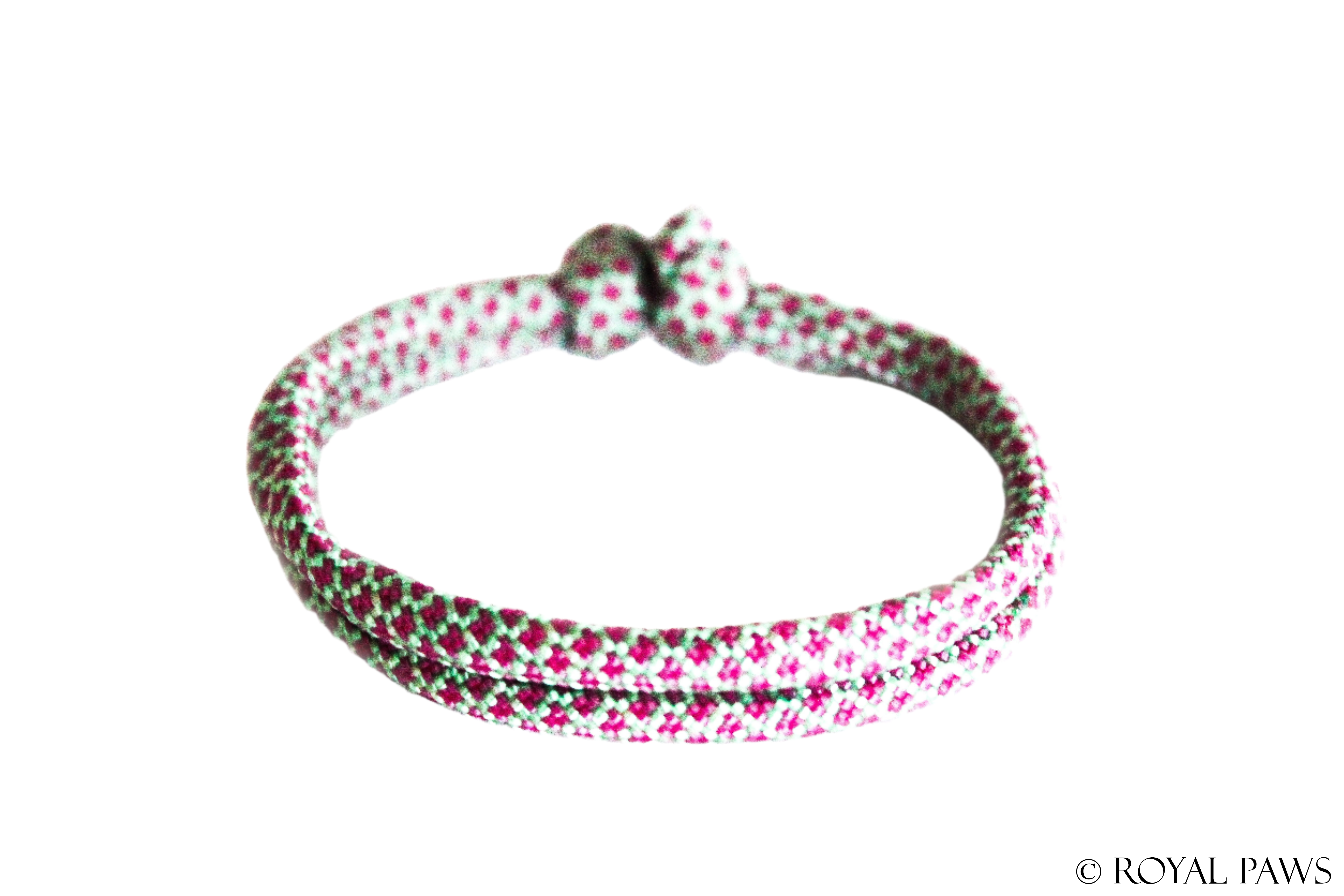 DIAMOND PUPPY BAND "MINT/PINK" - ROYAL PAWS Dog & Show Accessories