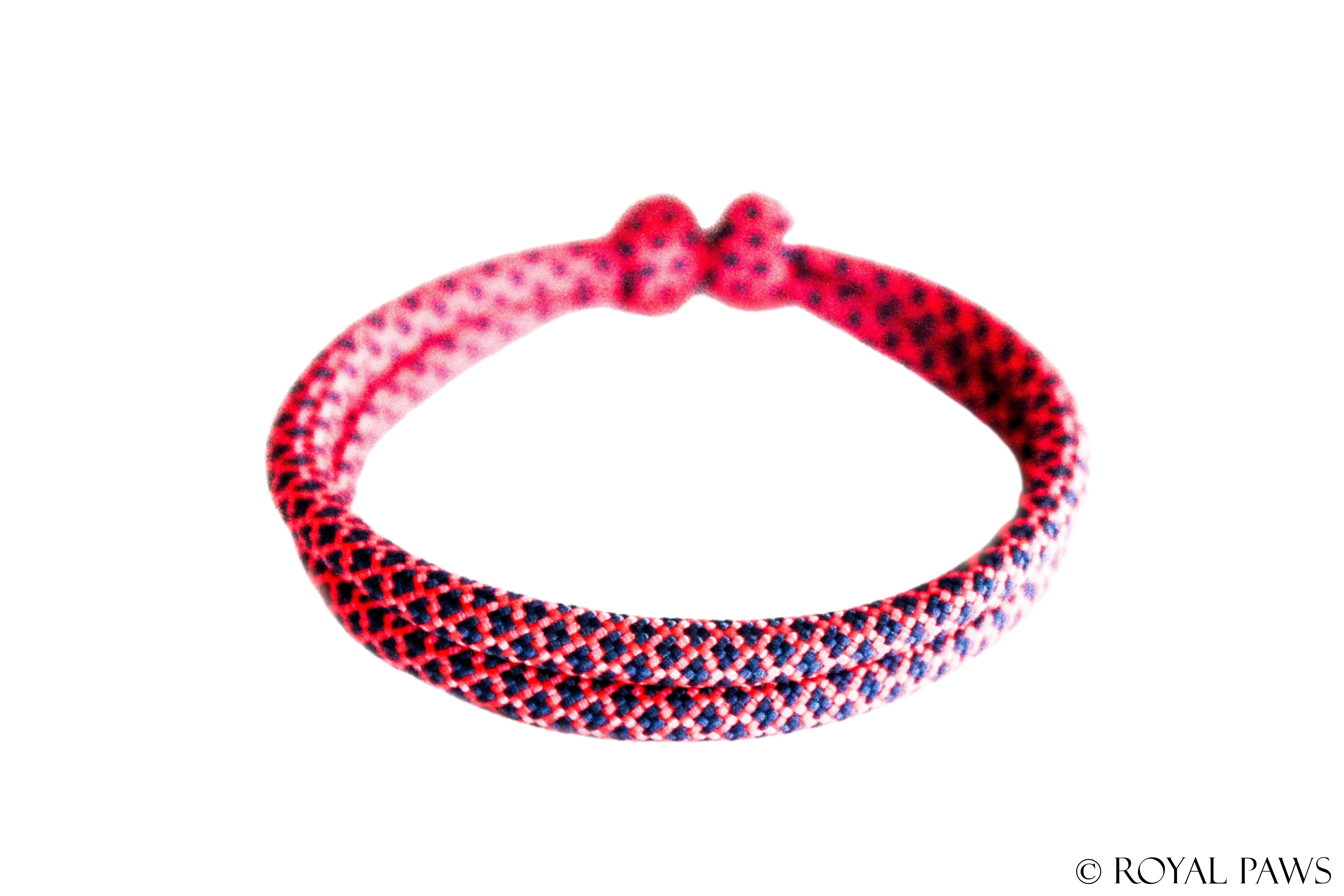 DIAMOND PUPPY BAND "PINK/DUNKELBLAU" - ROYAL PAWS Dog & Show Accessories