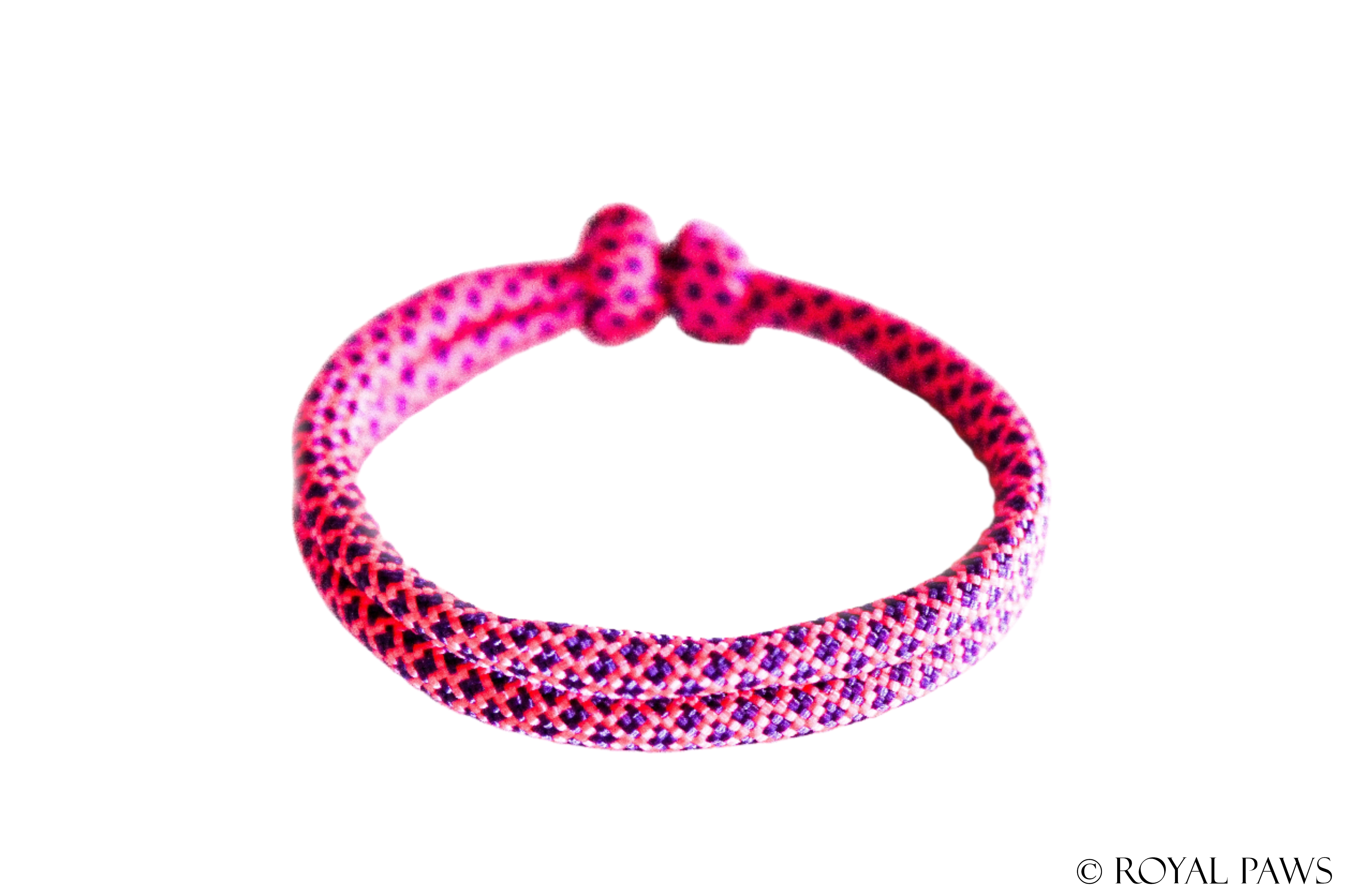 DIAMOND PUPPY BAND "PINK/LILA" - ROYAL PAWS Dog & Show Accessories