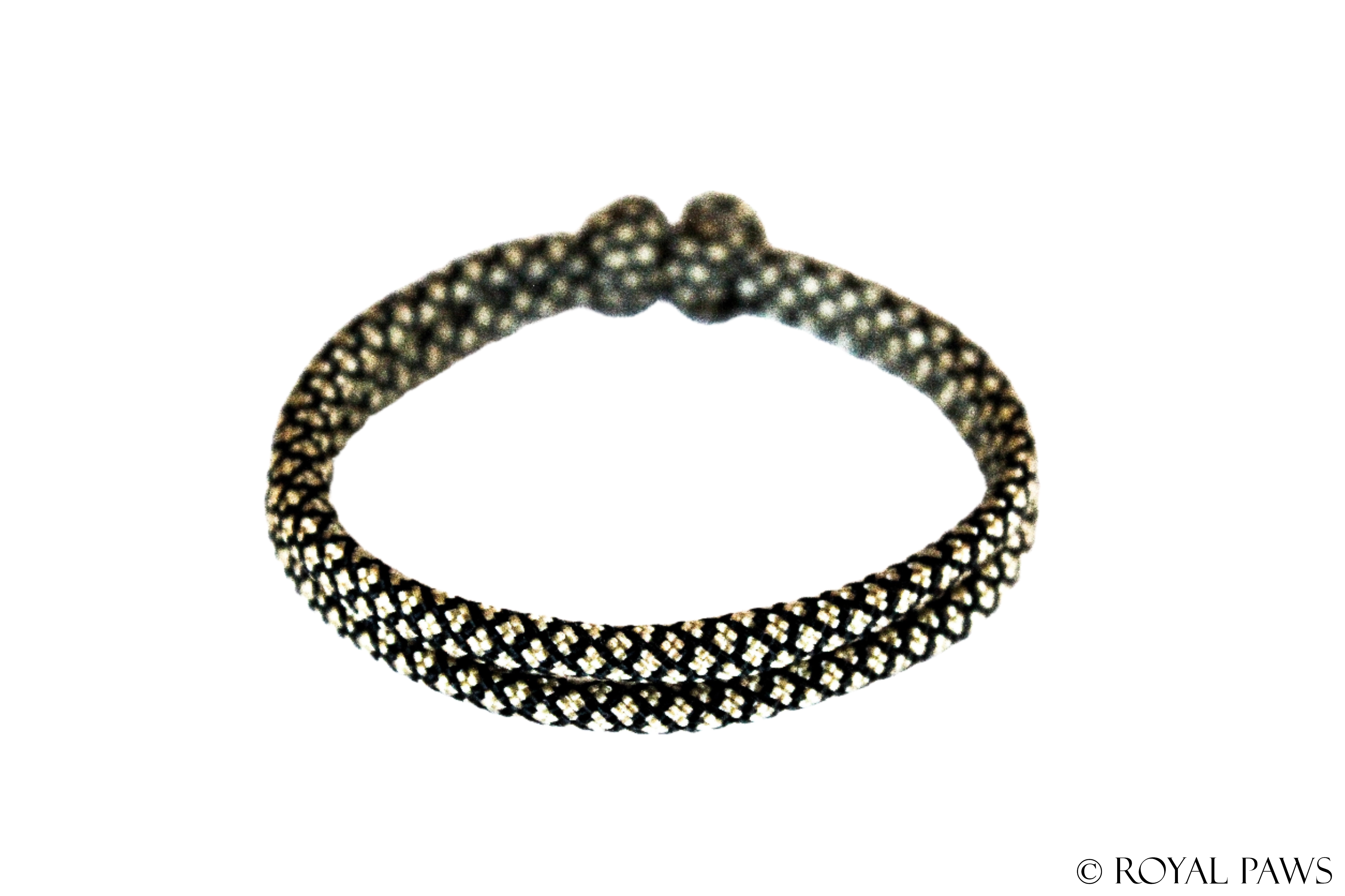 DIAMOND PUPPY BAND "SCHWARZ/GOLD" - ROYAL PAWS Dog & Show Accessories