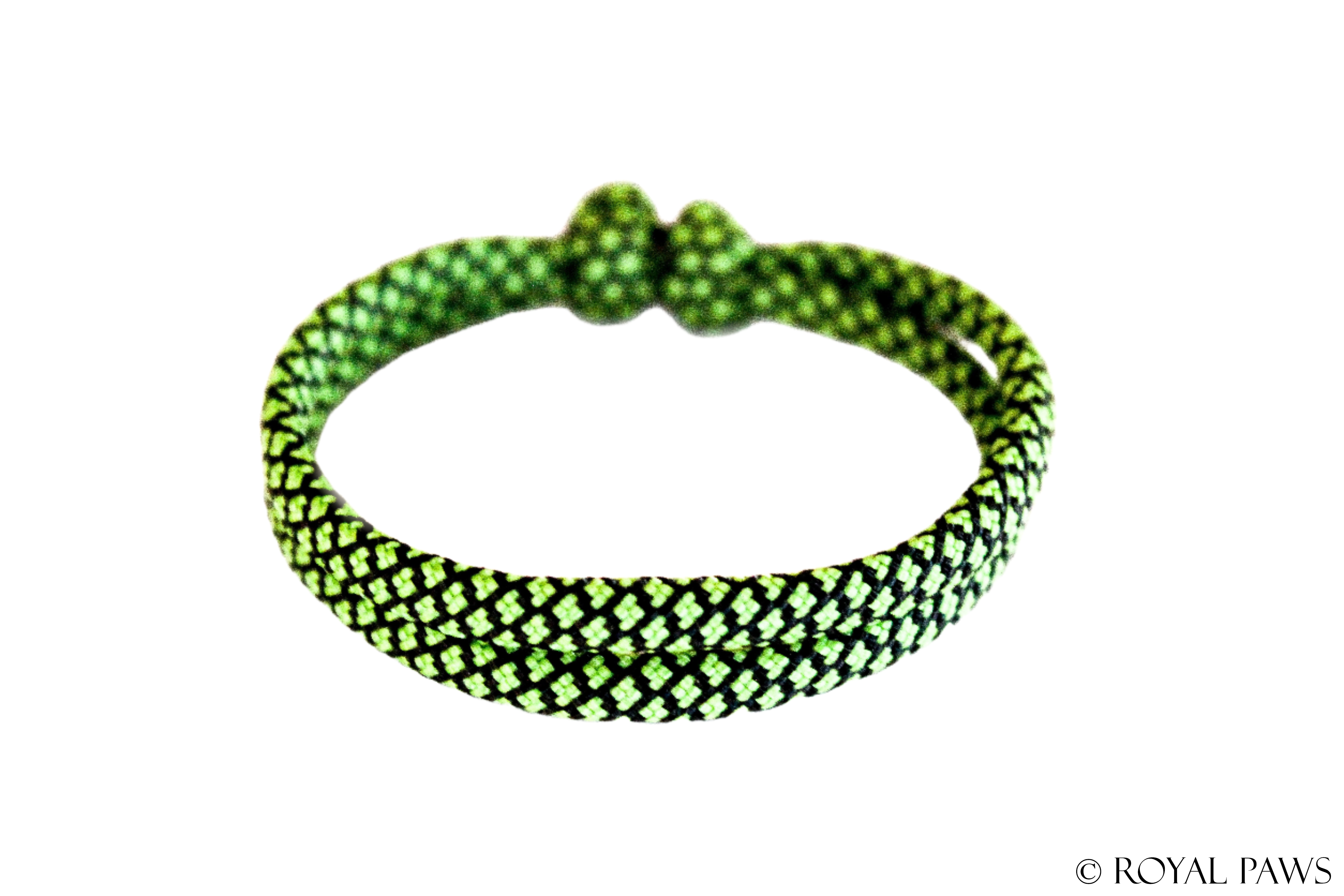 DIAMOND PUPPY BAND "SCHWARZ/NEONGRÜN" - ROYAL PAWS Dog & Show Accessories