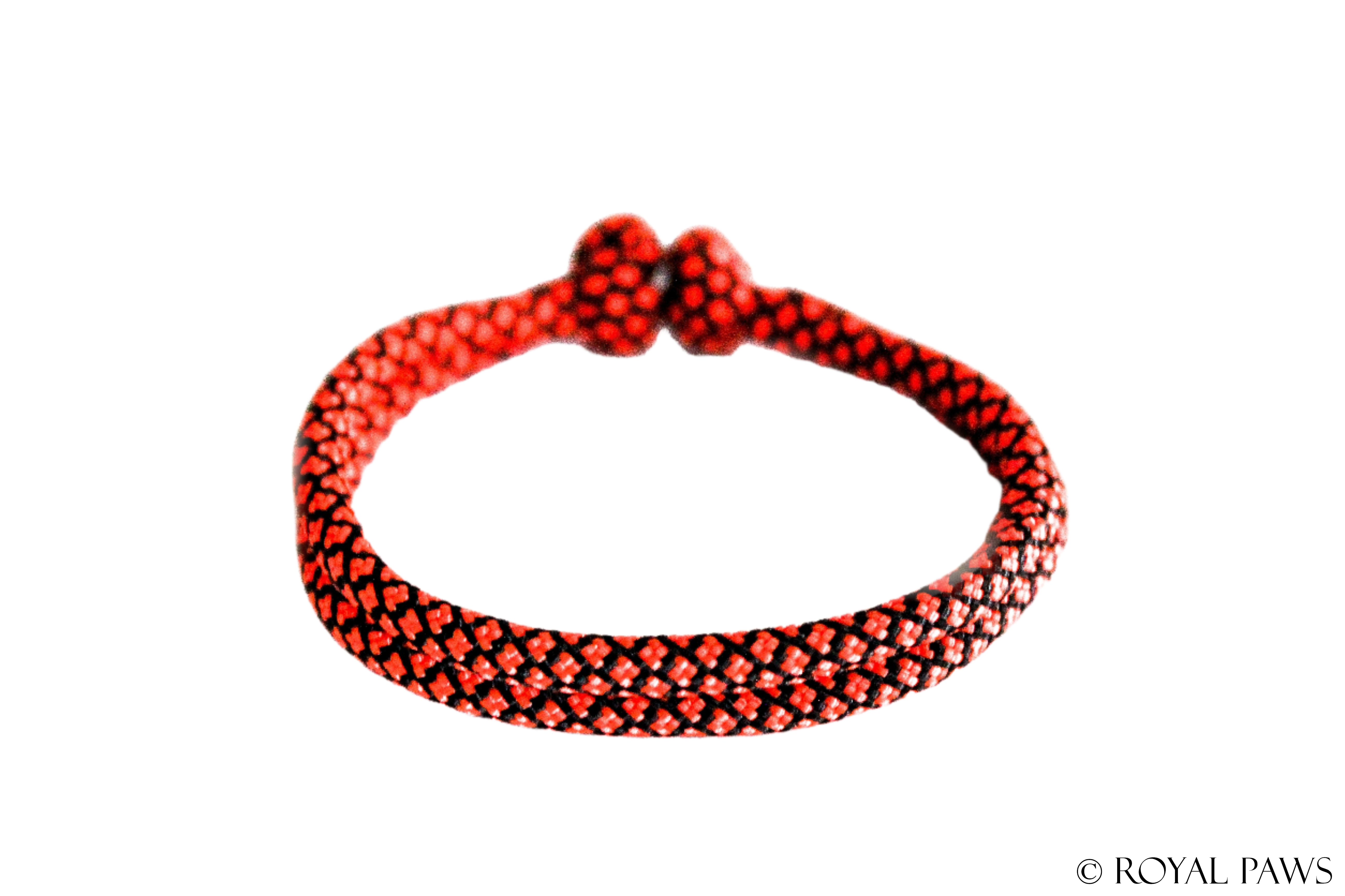 DIAMOND PUPPY BAND "SCHWARZ/ORANGE" - ROYAL PAWS Dog & Show Accessories