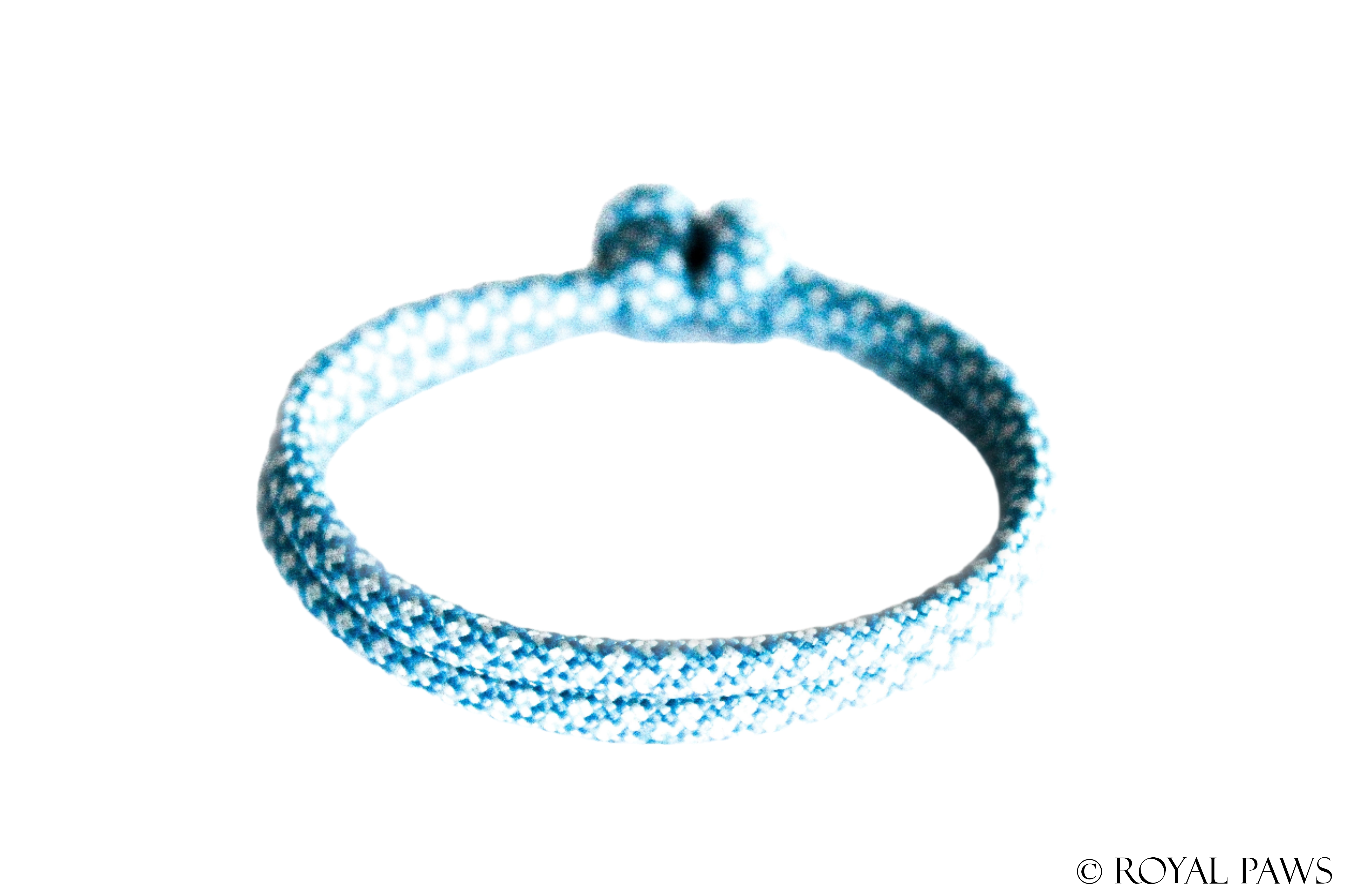 DIAMOND PUPPY BAND "TÜRKIS/HELLBLAU" - ROYAL PAWS Dog & Show Accessories