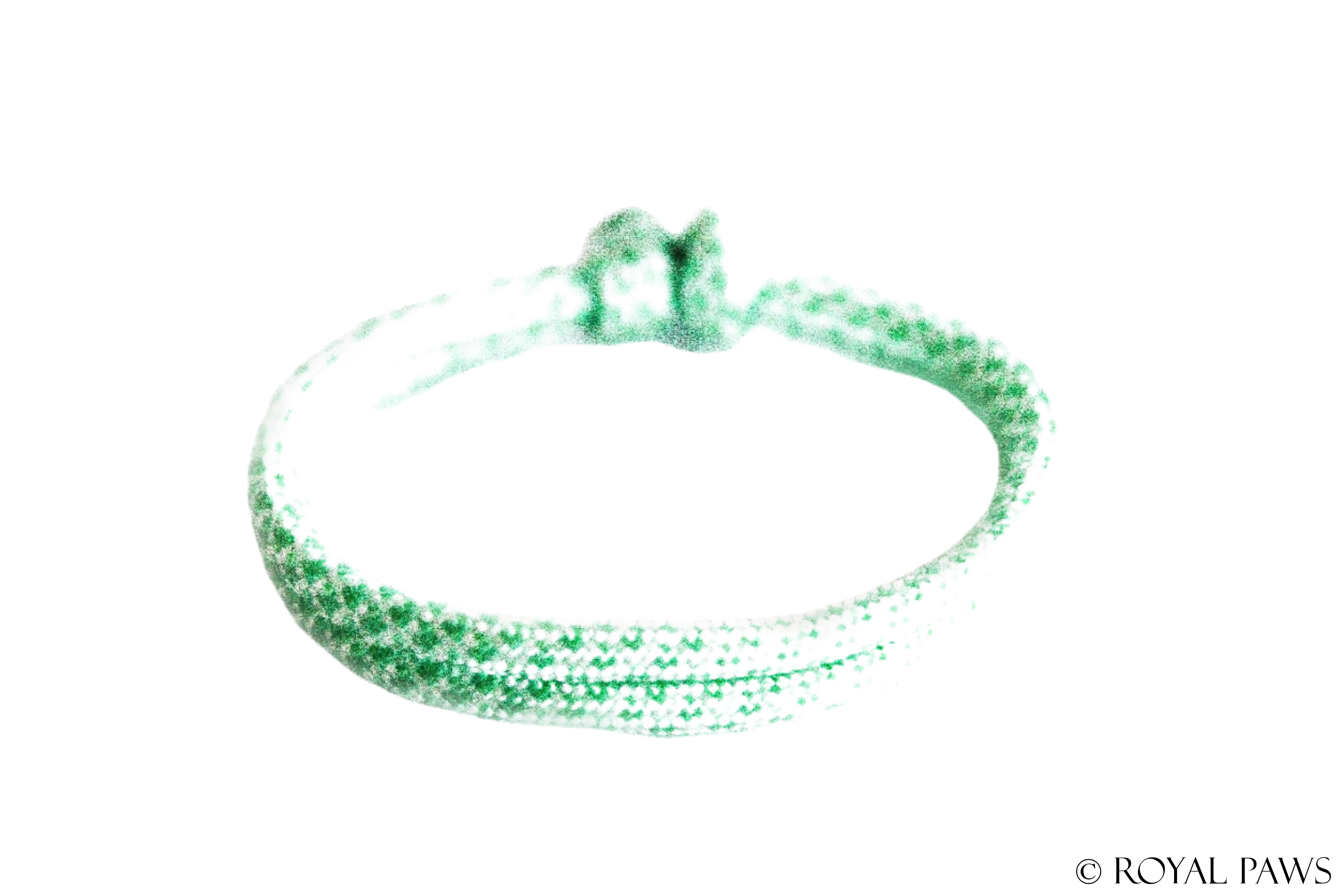 DIAMOND PUPPY BAND "CREME/GRÜN" - ROYAL PAWS Dog & Show Accessories