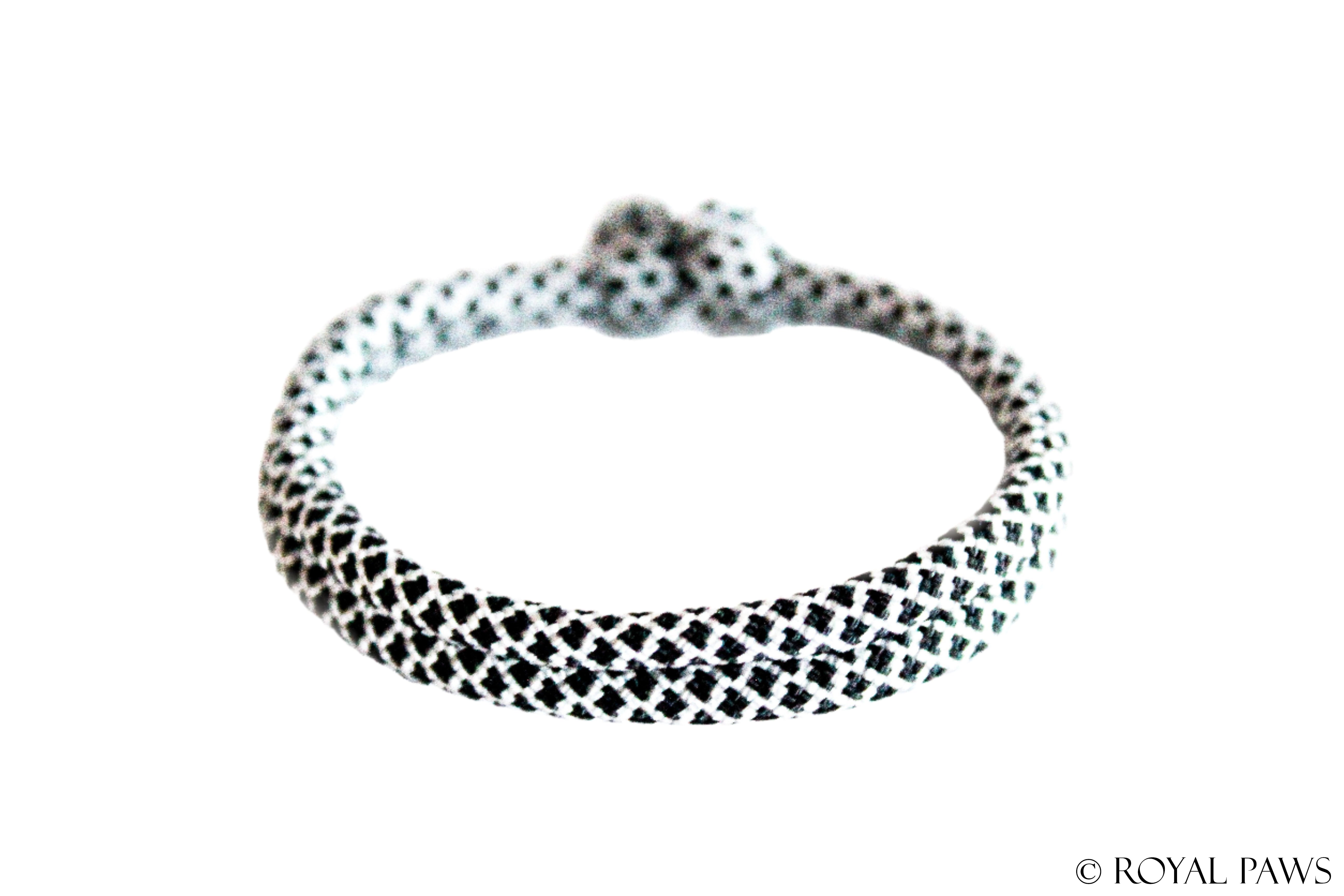 DIAMOND PUPPY BAND "WEIß/SCHWARZ" - ROYAL PAWS Dog & Show Accessories