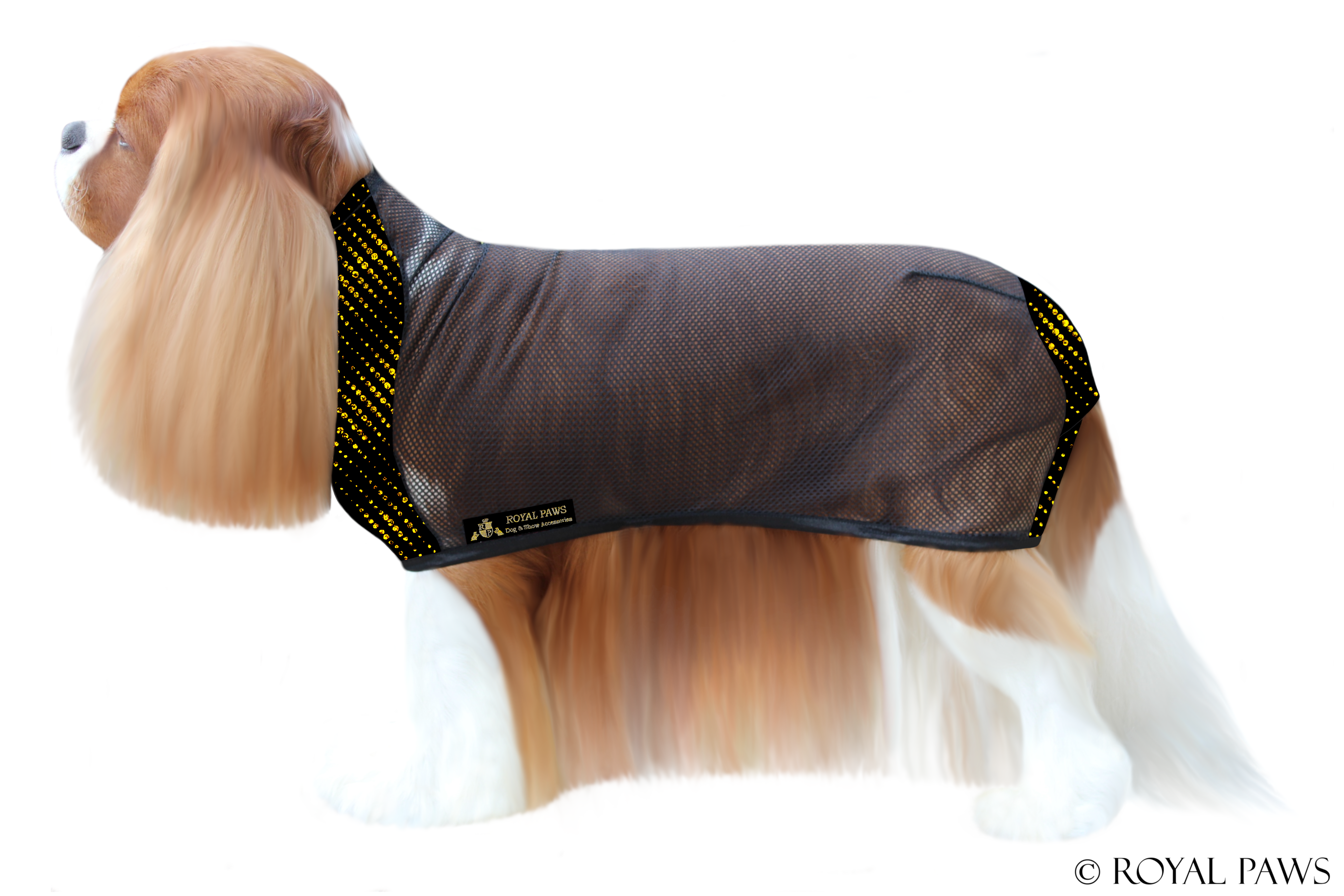 EXCLUSIV DRY COAT MESH "FLASHLIGHT" SCHWARZ/GOLD - ROYAL PAWS Dog & Show Accessories