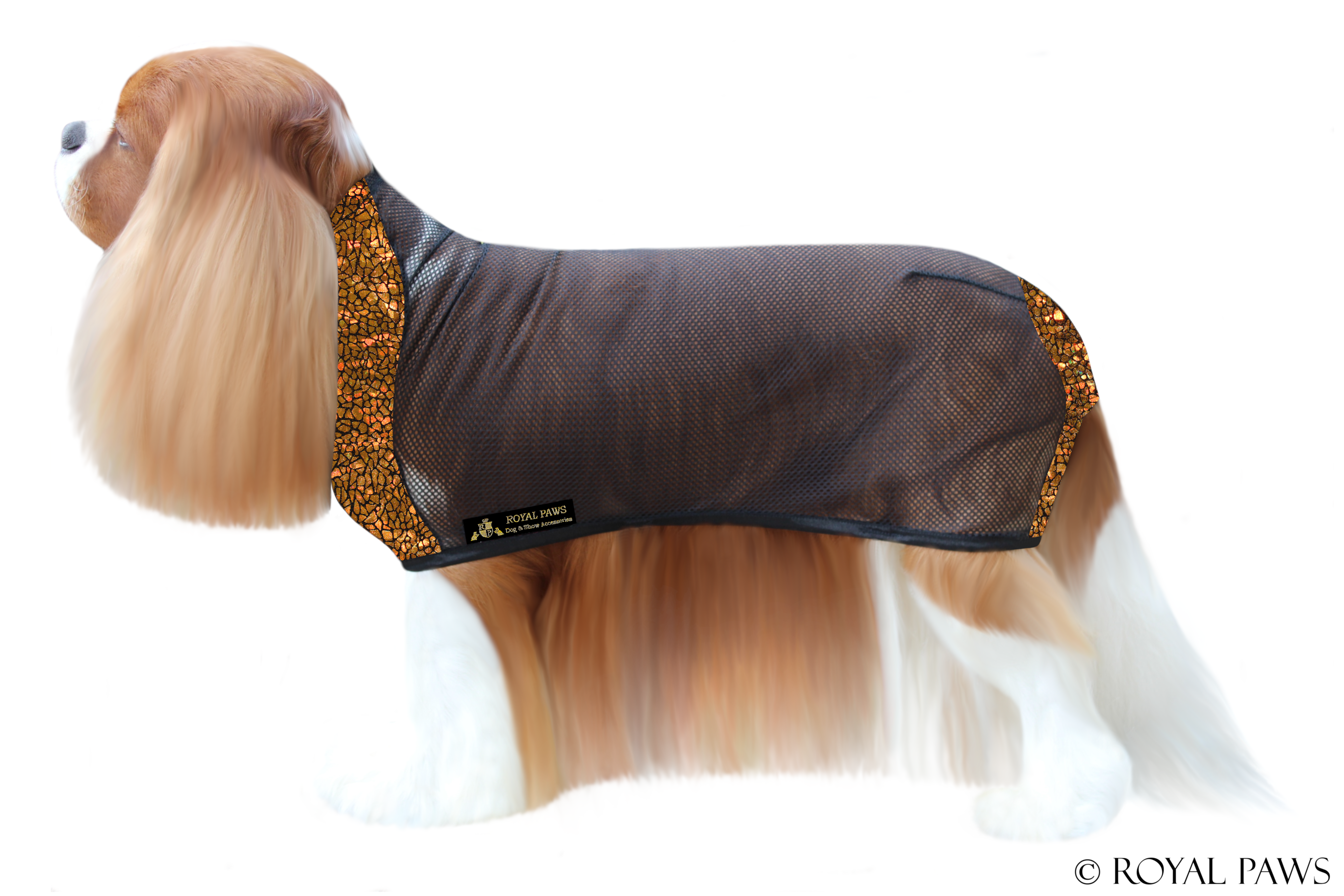 LIMITED EDITION DRY COAT MESH "MOSAIC" GOLD - ROYAL PAWS Dog & Show Accessories