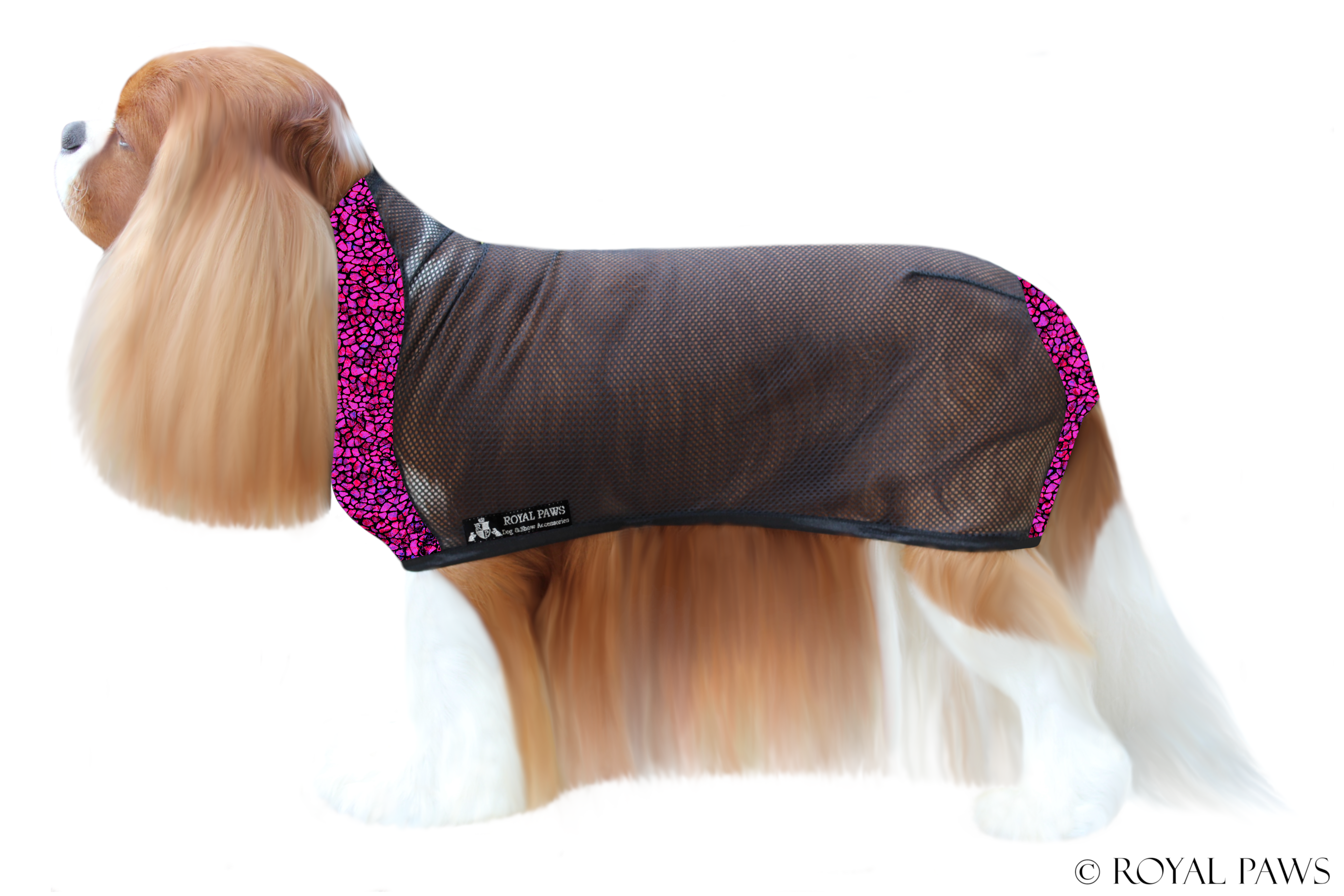 LIMITED EDITION DRY COAT MESH "MOSAIC" PINK - ROYAL PAWS Dog & Show Accessories