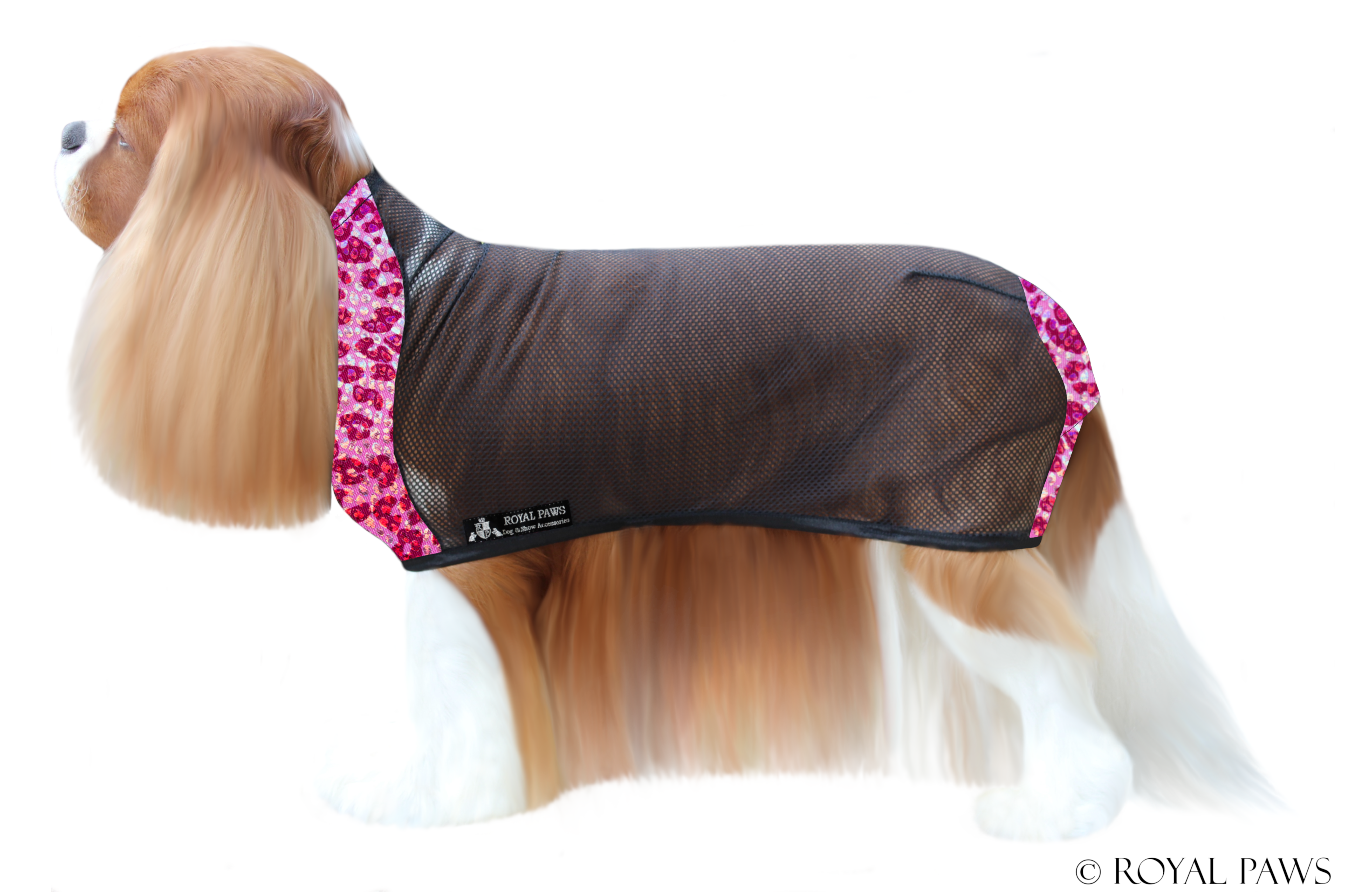LIMITED EDITION DRY COAT MESH "LEOPARD" PINK - ROYAL PAWS Dog & Show Accessories