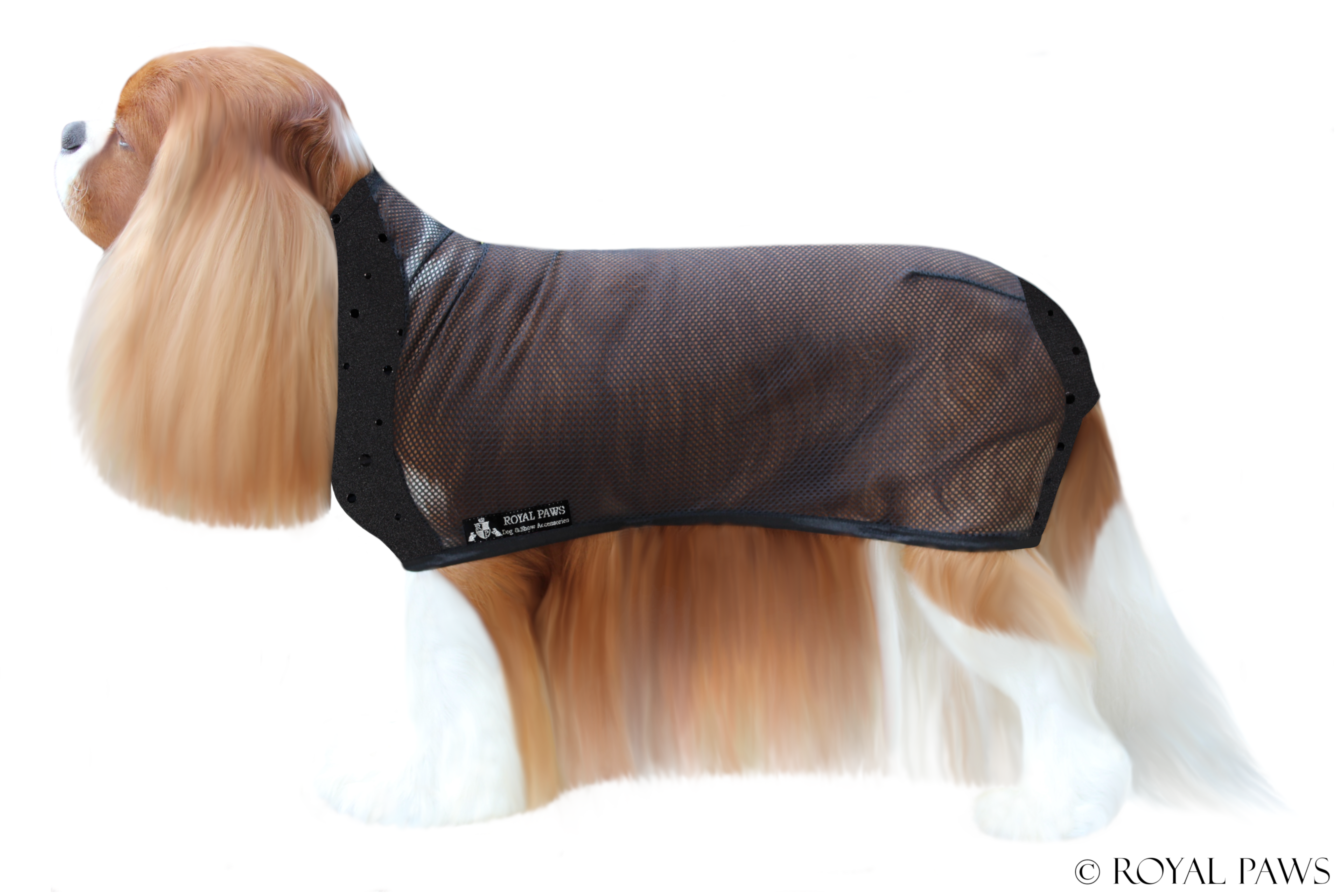 GLITTER DRY COAT MESH "SCHWARZ/SCHWARZ" - ROYAL PAWS Dog & Show Accessories
