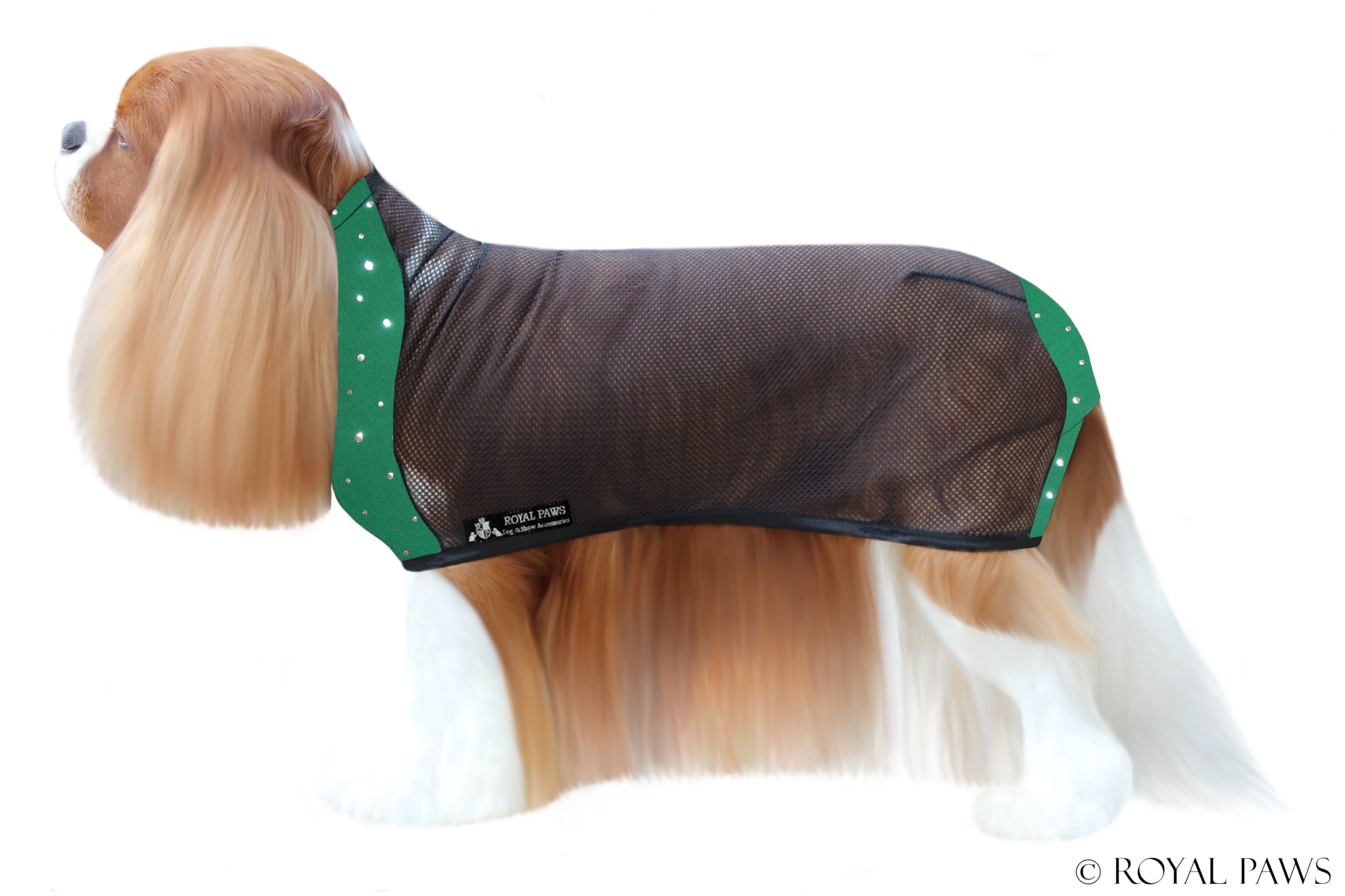 GLITTER DRY COAT MESH "GRÜN/SILBER" - ROYAL PAWS Dog & Show Accessories