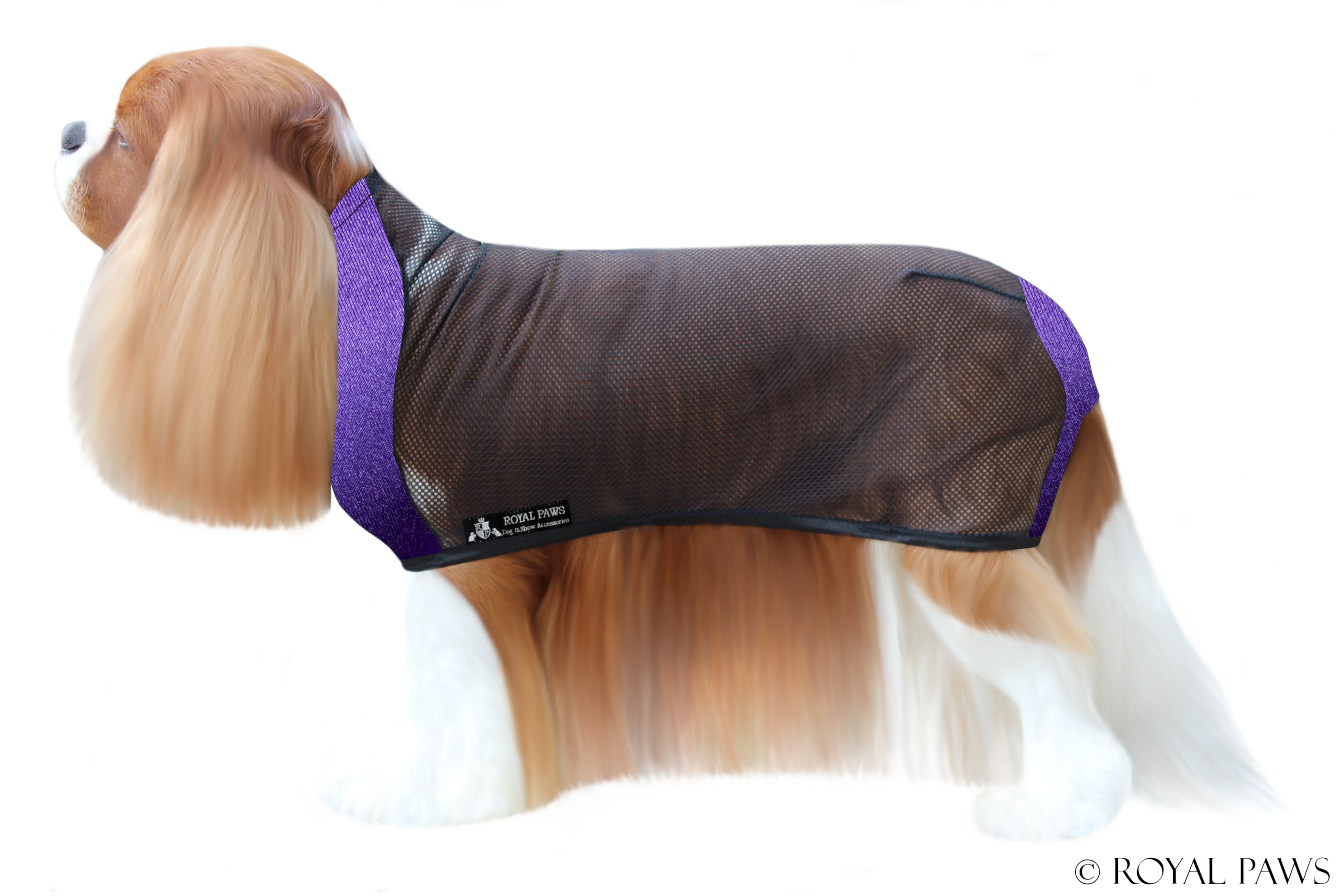 BASIC DRY COAT MESH "LILA" - ROYAL PAWS Dog & Show Accessories