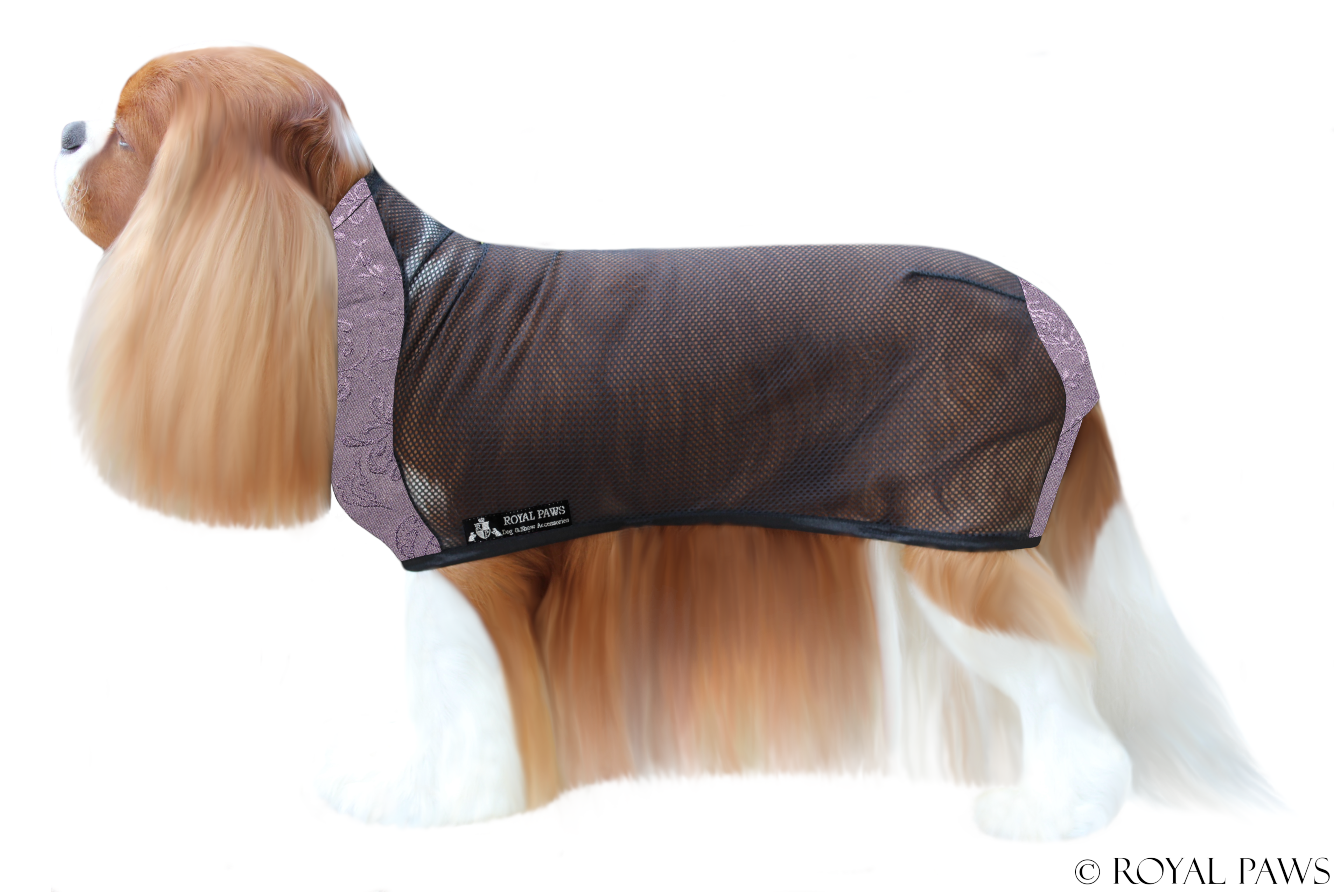 EXCLUSIV DRY COAT MESH "BLOSSOM" LILA - ROYAL PAWS Dog & Show Accessories