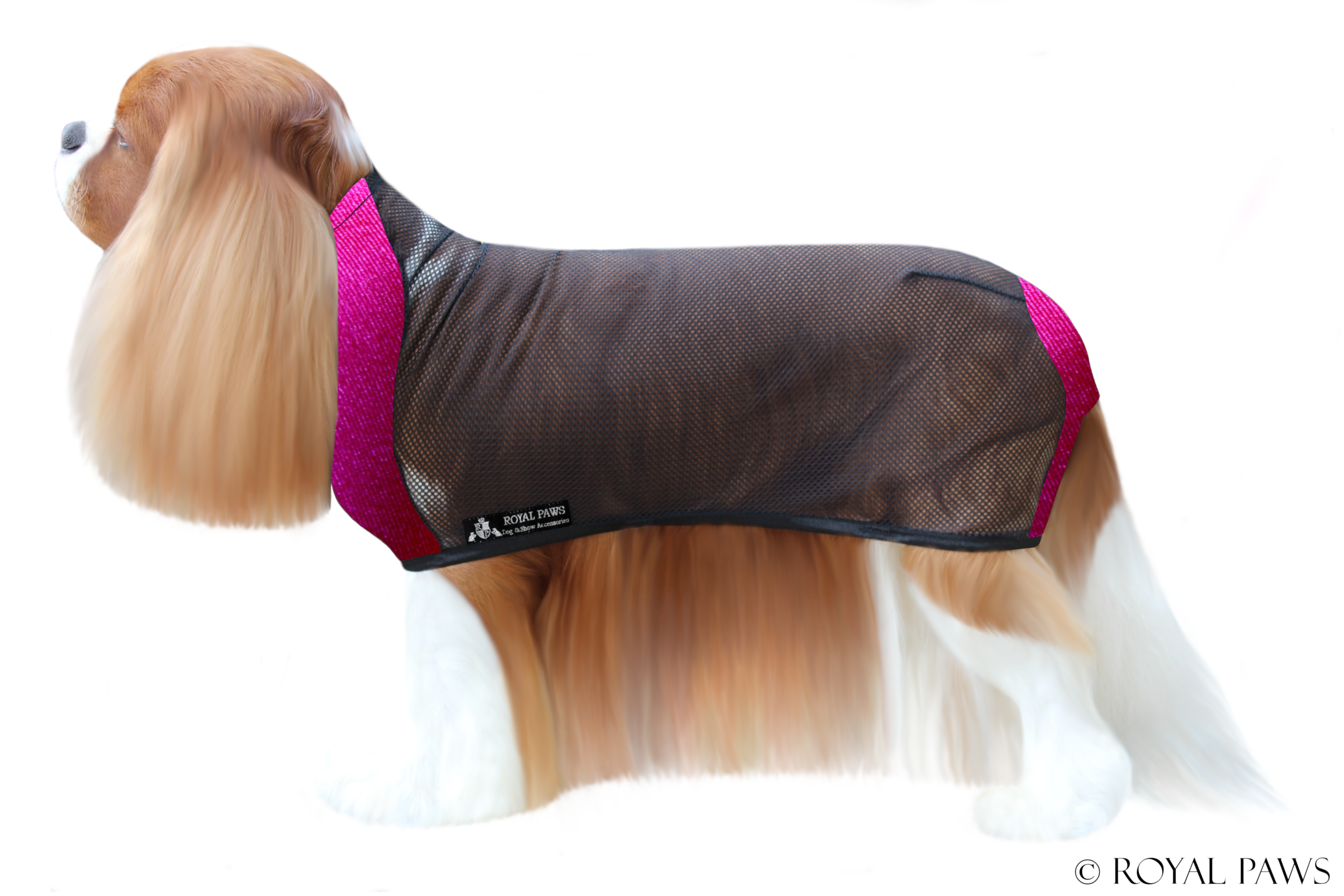 BASIC DRY COAT MESH "PINK" - ROYAL PAWS Dog & Show Accessories