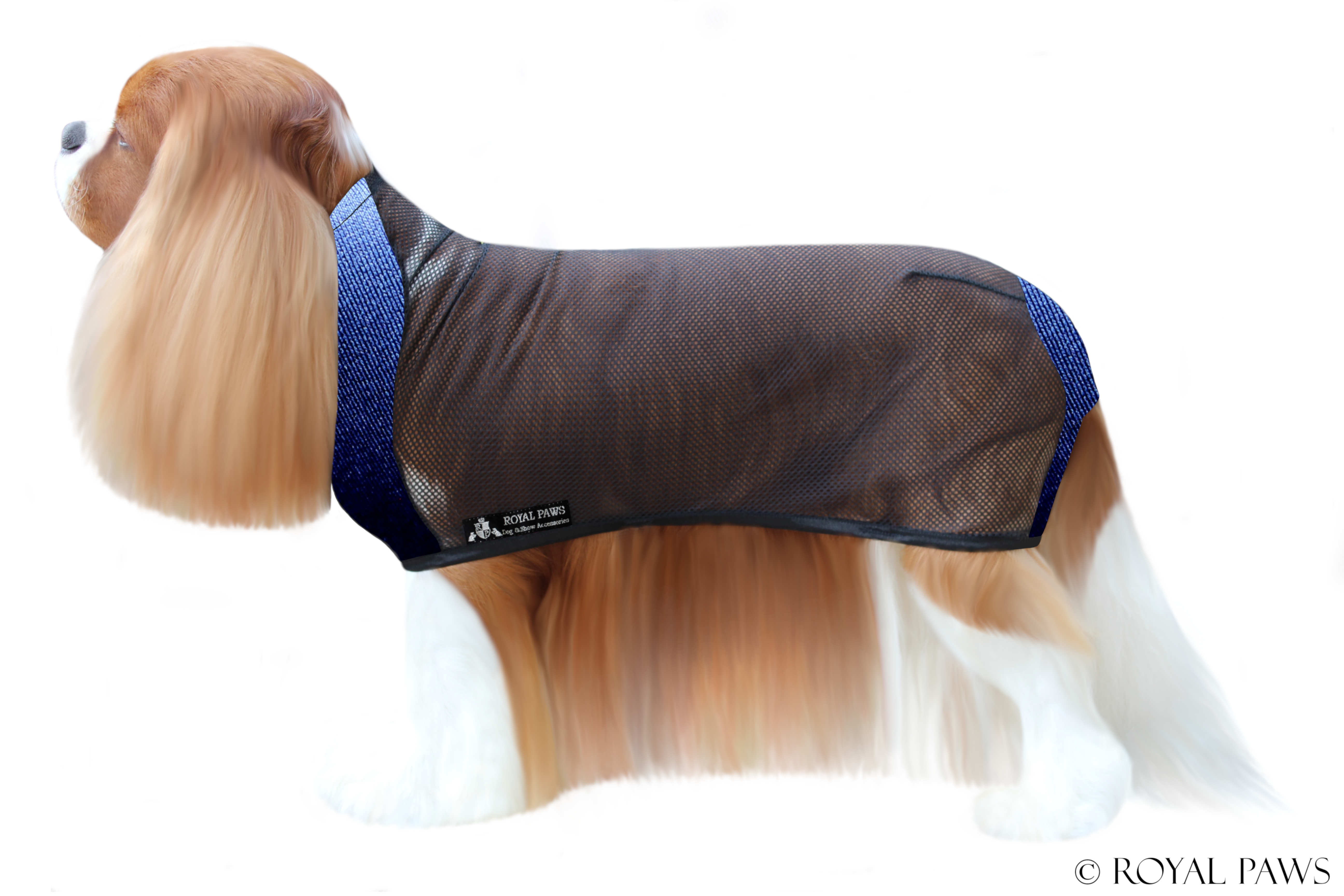 BASIC DRY COAT MESH "BLAU" - ROYAL PAWS Dog & Show Accessories
