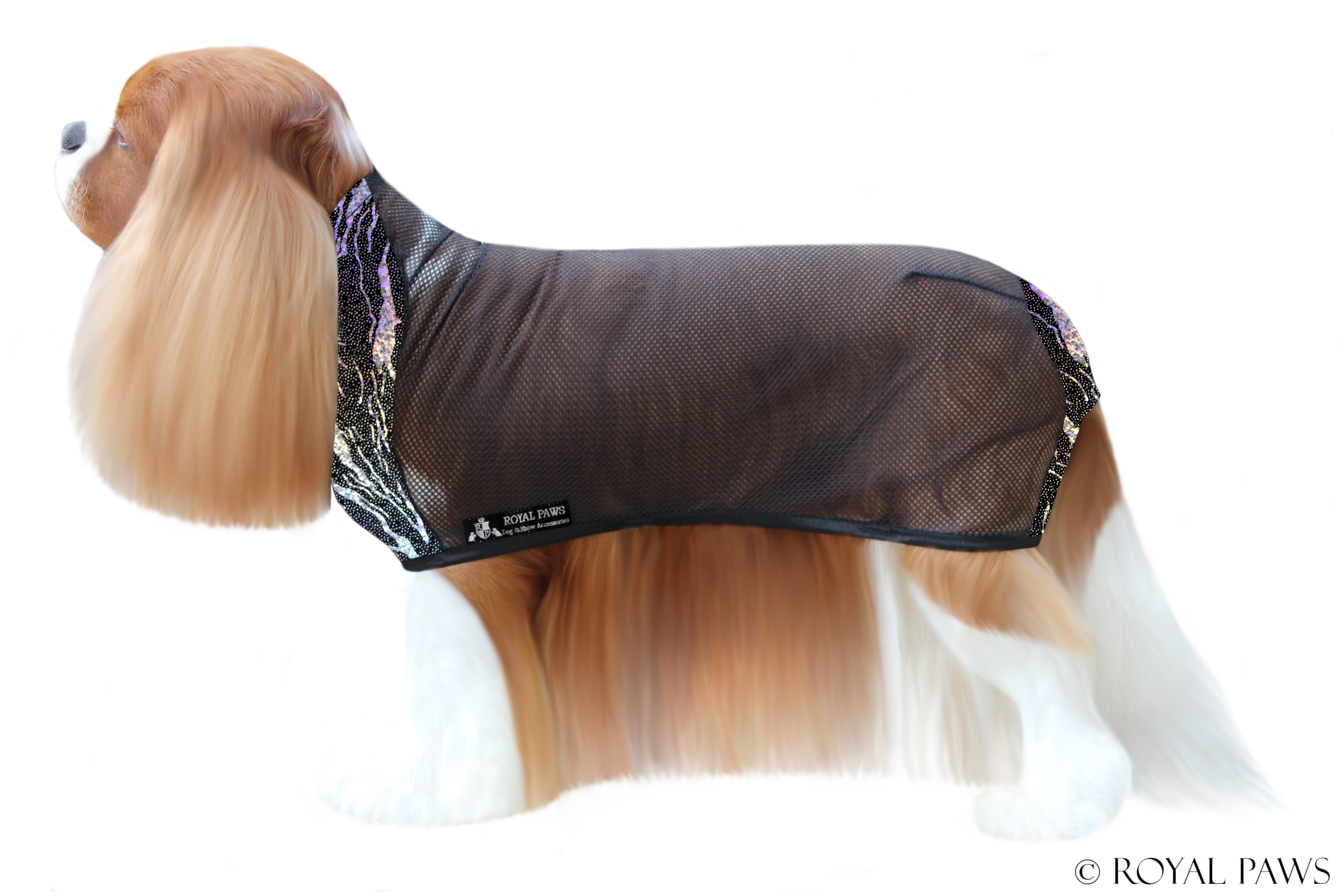 LIMITED EDITION DRY COAT MESH "GALAXY" SCHWARZ - ROYAL PAWS Dog & Show Accessories