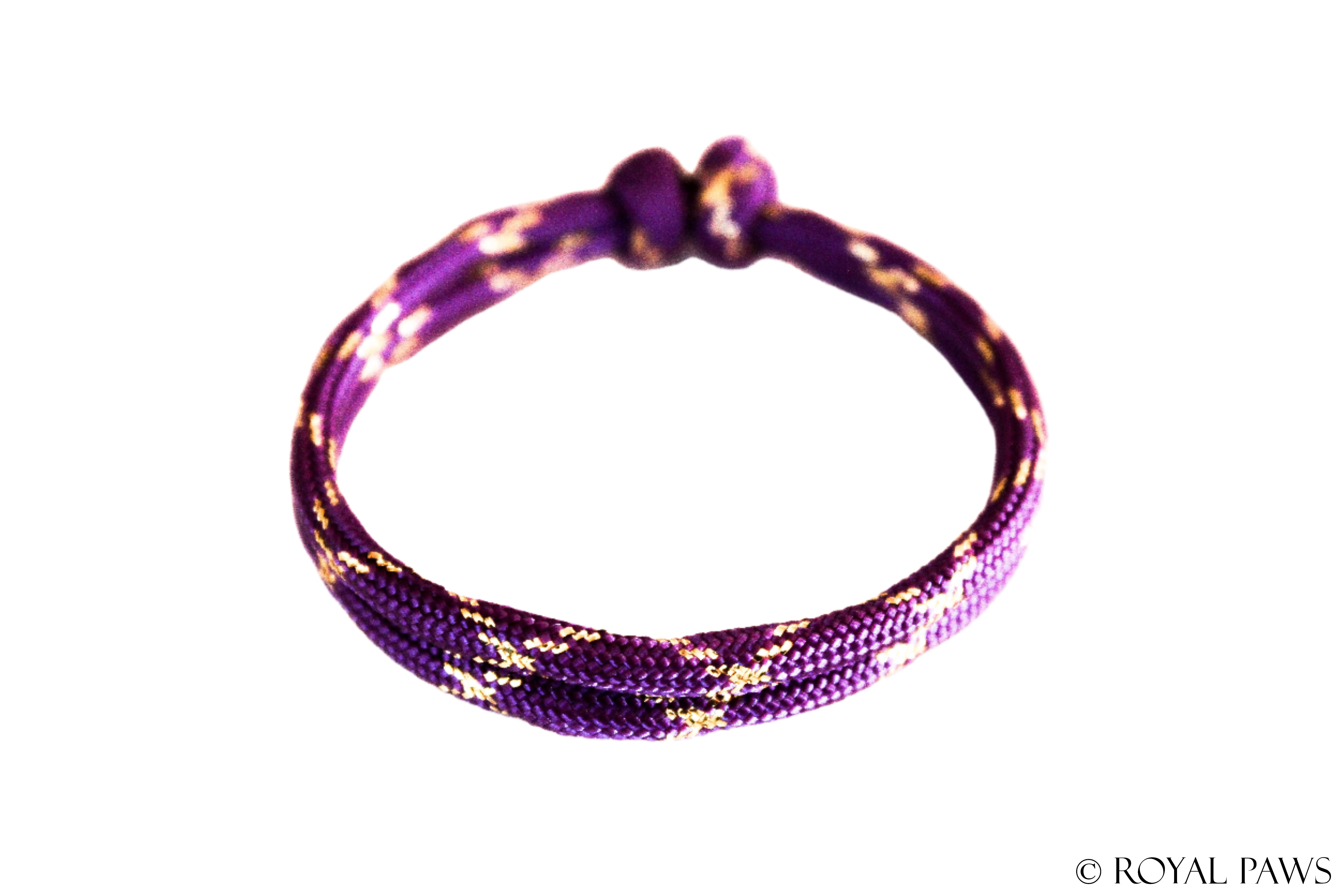 GLITTER PUPPY BAND "LILA/GOLD" - ROYAL PAWS Dog & Show Accessories