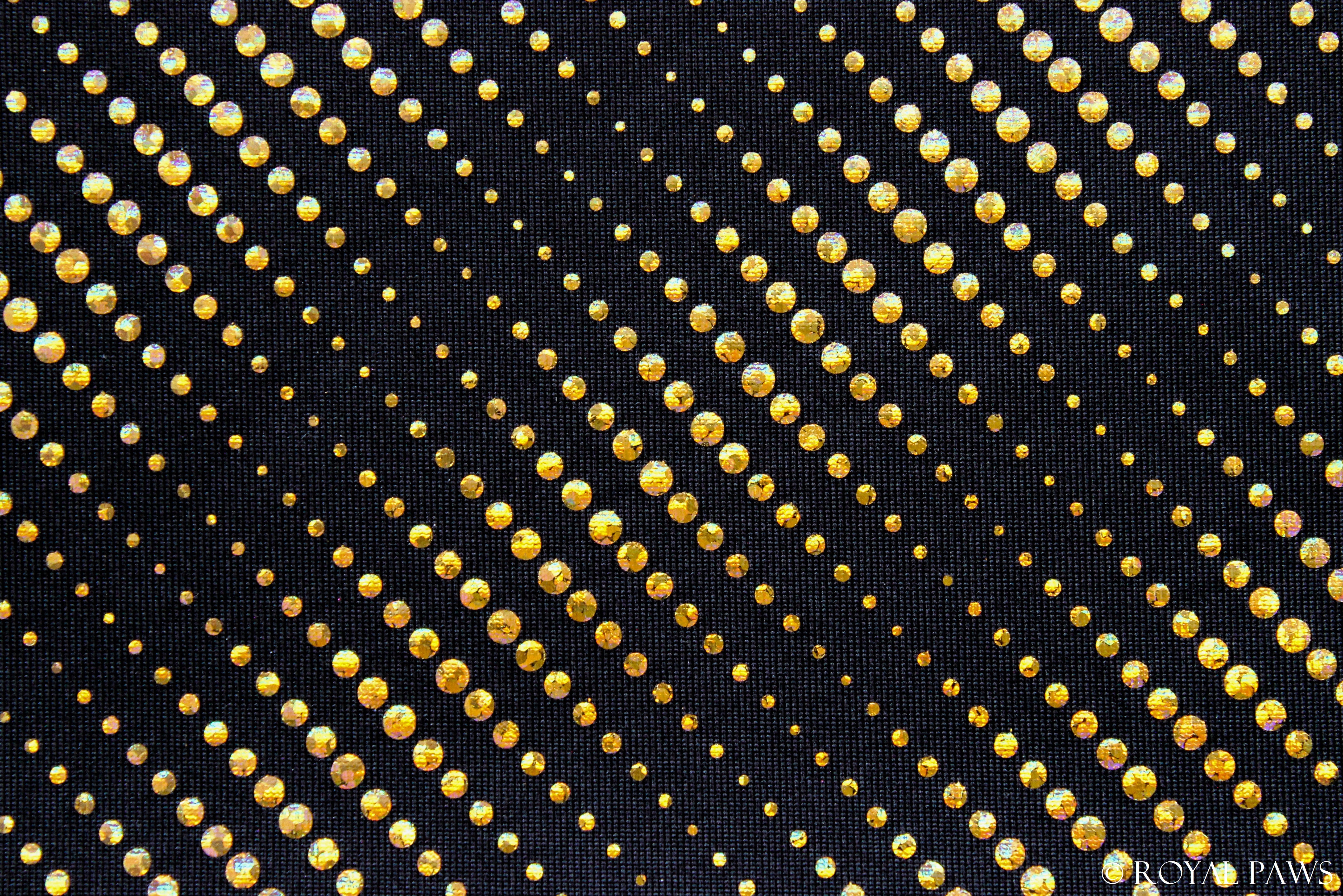 EXCLUSIV DRY COAT MESH "FLASHLIGHT" SCHWARZ/GOLD - ROYAL PAWS Dog & Show Accessories