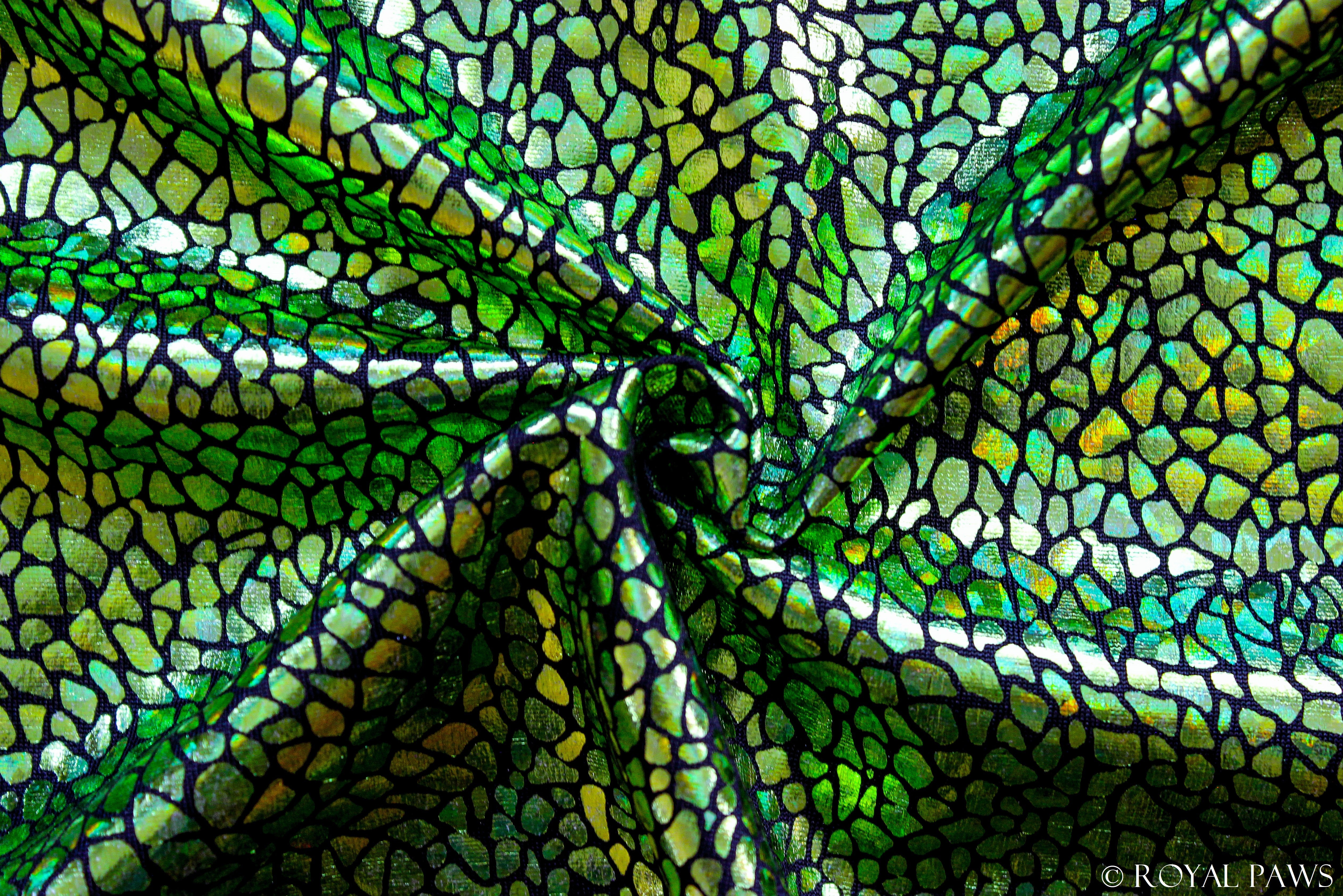 LIMITED EDITION DRY COAT MESH "MOSAIC" GRÜN - ROYAL PAWS Dog & Show Accessories