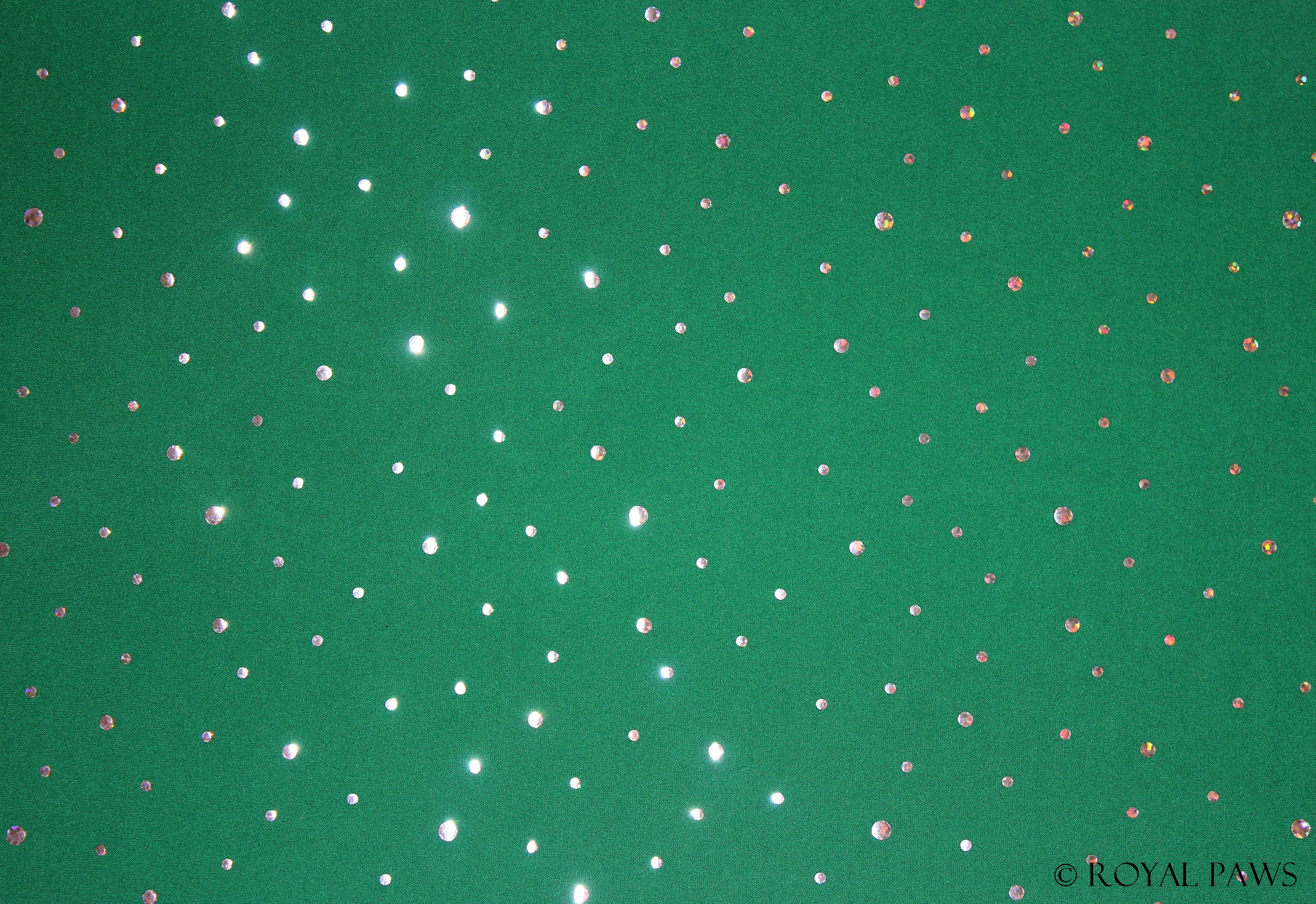 GLITTER DRY COAT MESH "GRÜN/SILBER" - ROYAL PAWS Dog & Show Accessories