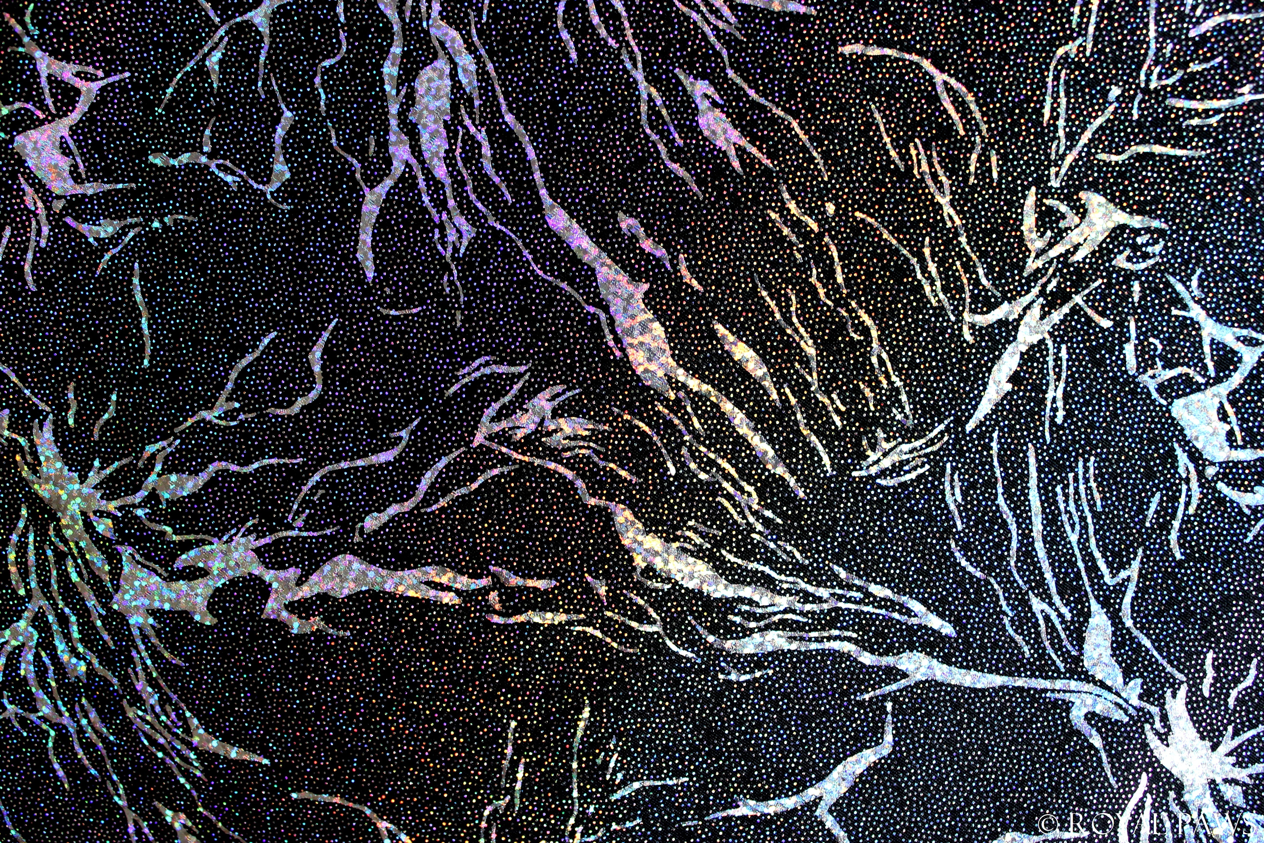 LIMITED EDITION DRY COAT MESH "GALAXY" SCHWARZ - ROYAL PAWS Dog & Show Accessories